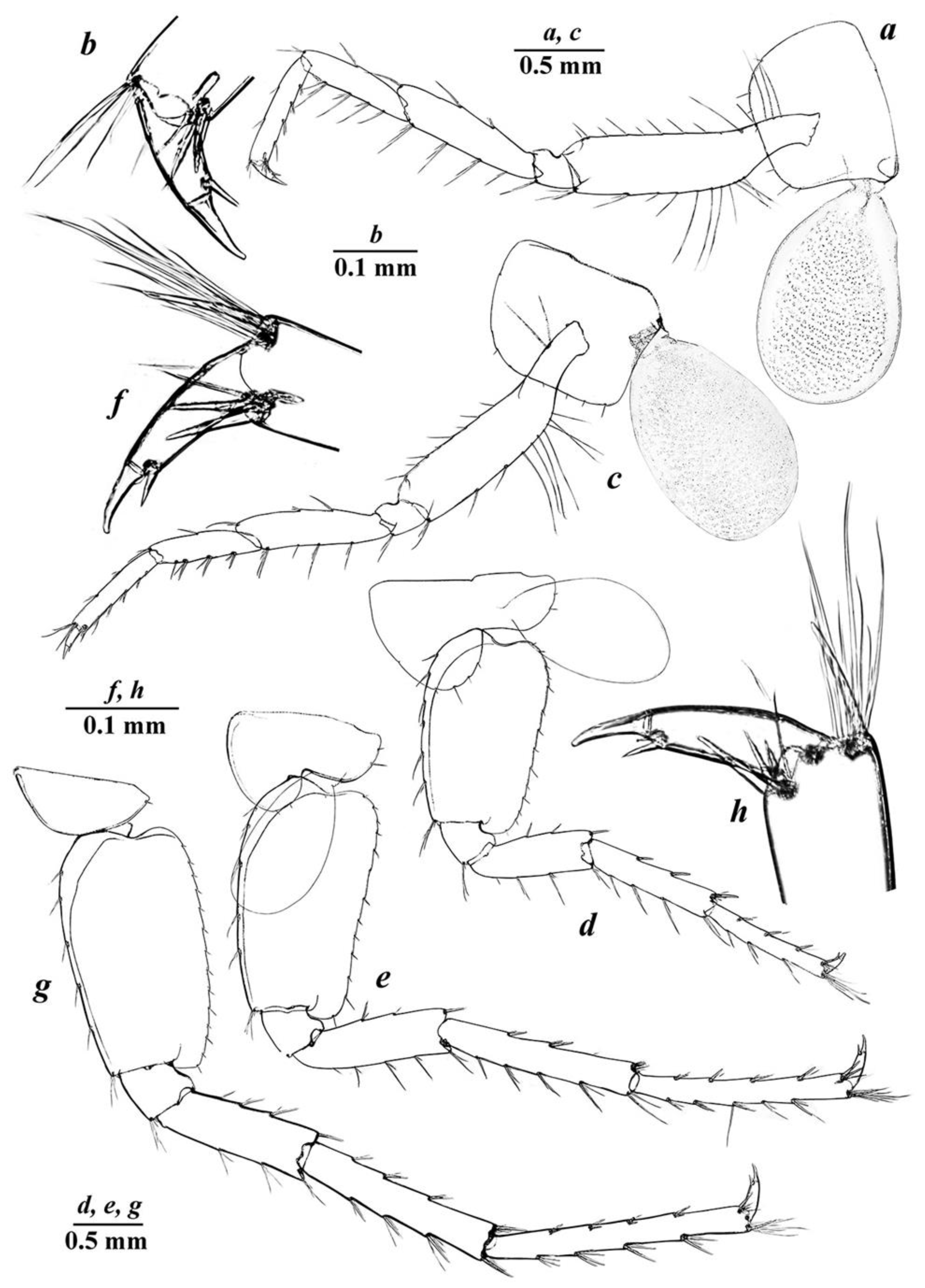 Diversity 14 01010 g005 Diversity 14 01010 g005