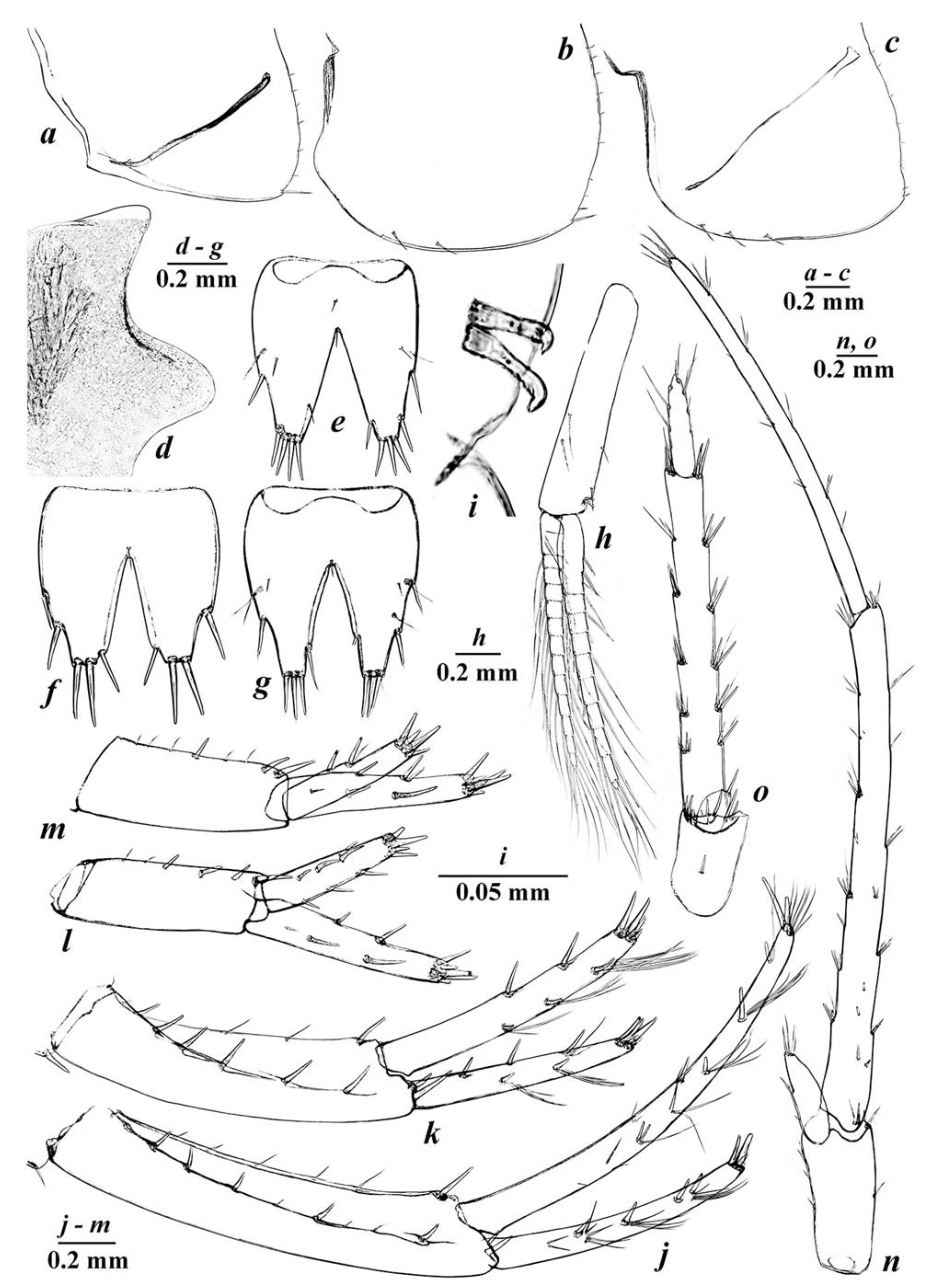 Diversity 14 01010 g006 Diversity 14 01010 g006