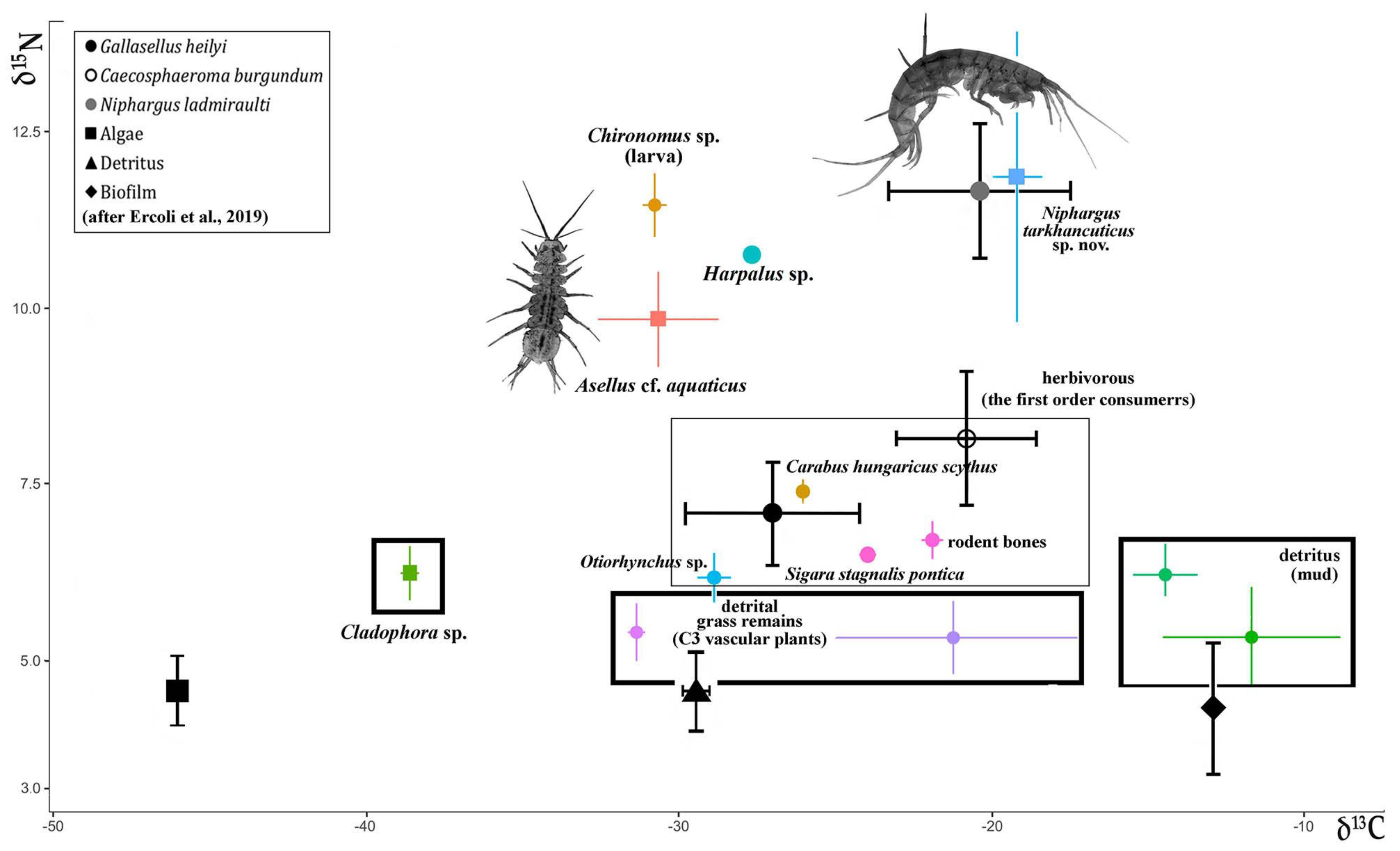 Diversity 14 01010 g008 Diversity 14 01010 g008