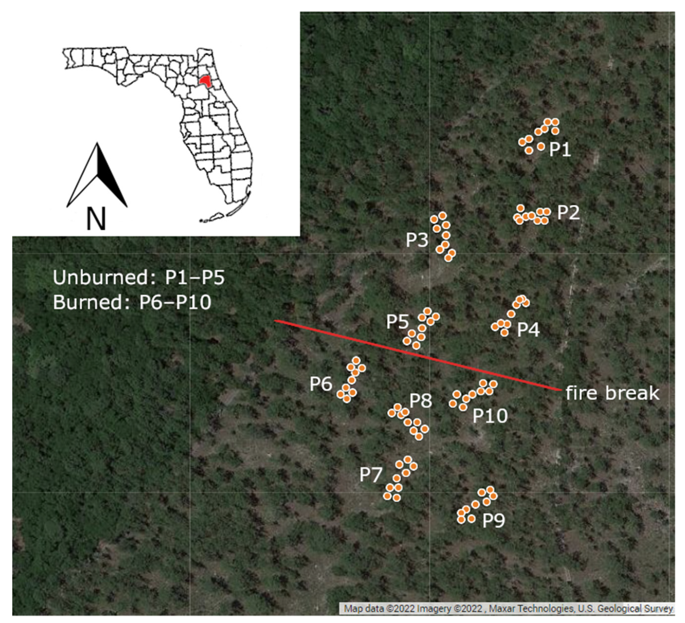 Diversity 14 01012 g001