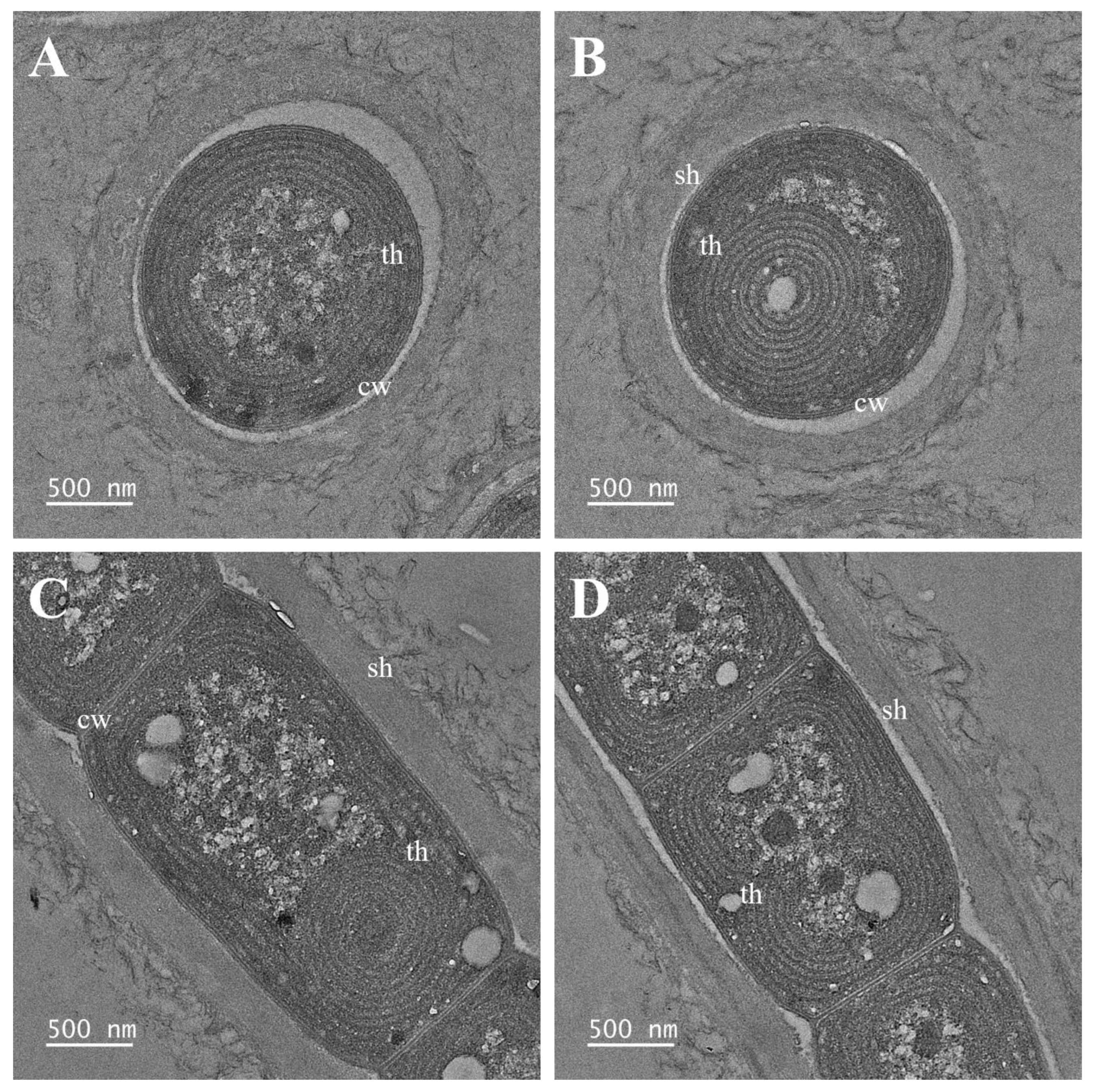 Diversity 14 01013 g007