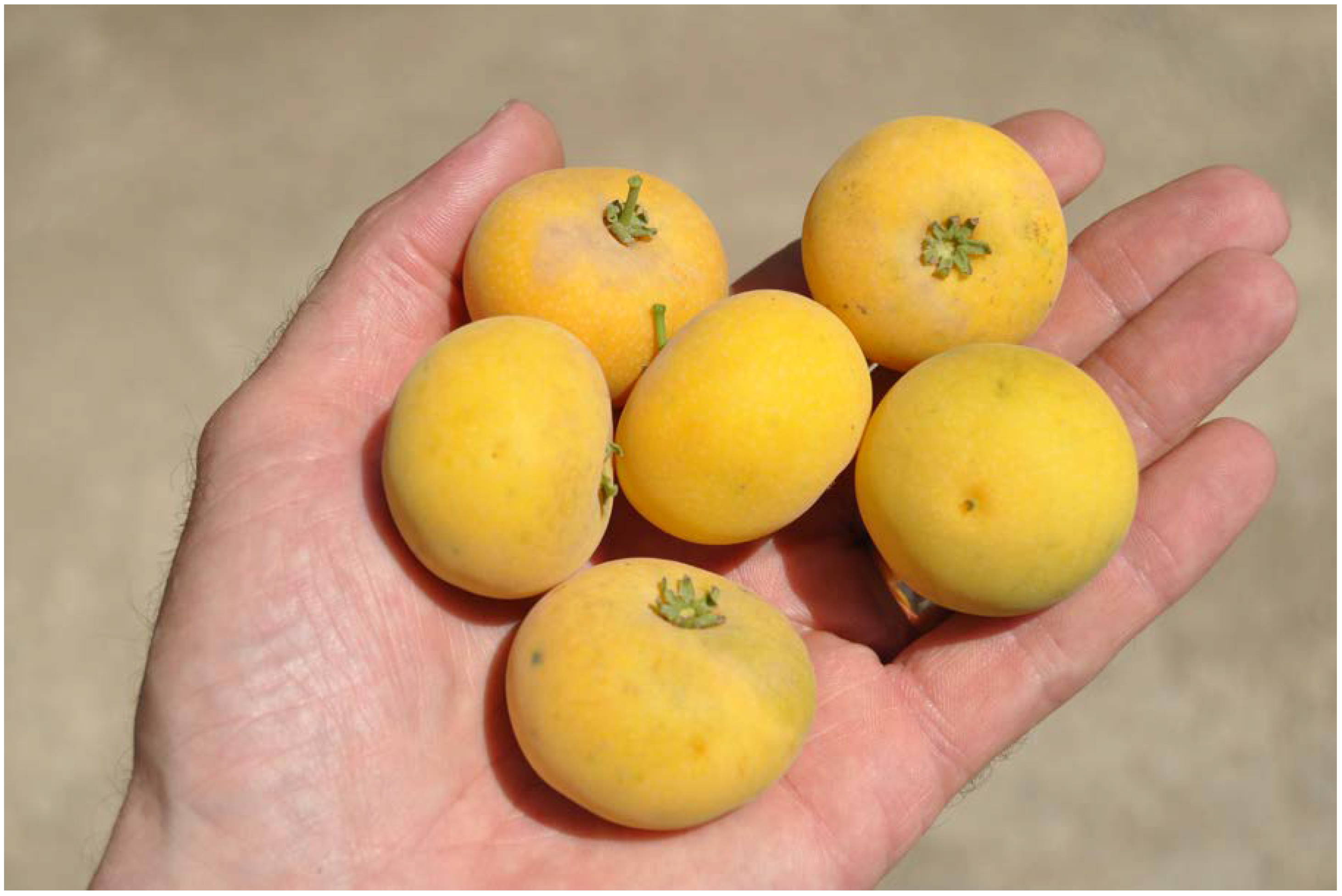 Diversity 14 01014 g002 Diversity 14 01014 g002