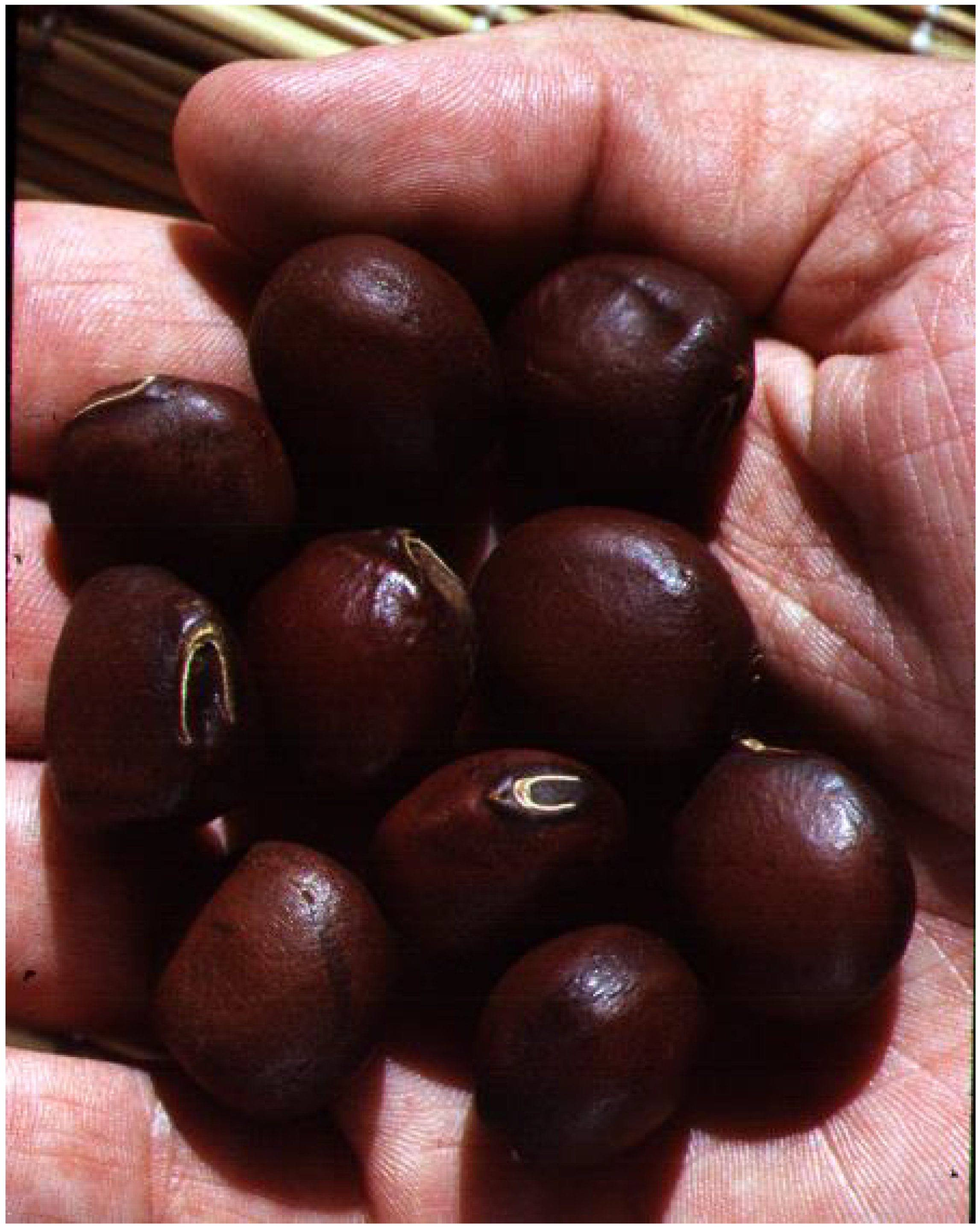 Diversity 14 01014 g003 Diversity 14 01014 g003