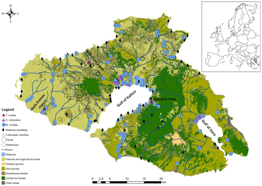 Diversity 14 01018 g002