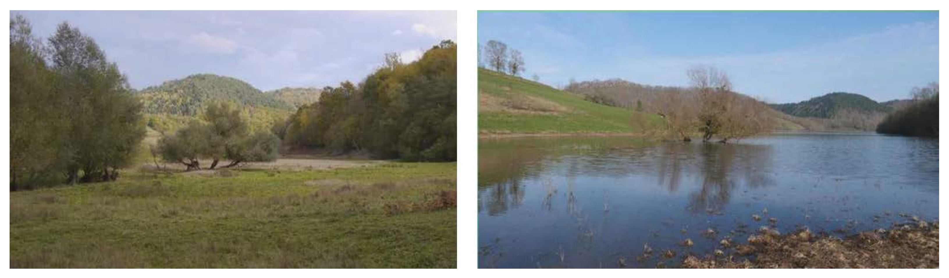 Diversity 14 01021 g003 Diversity 14 01021 g003