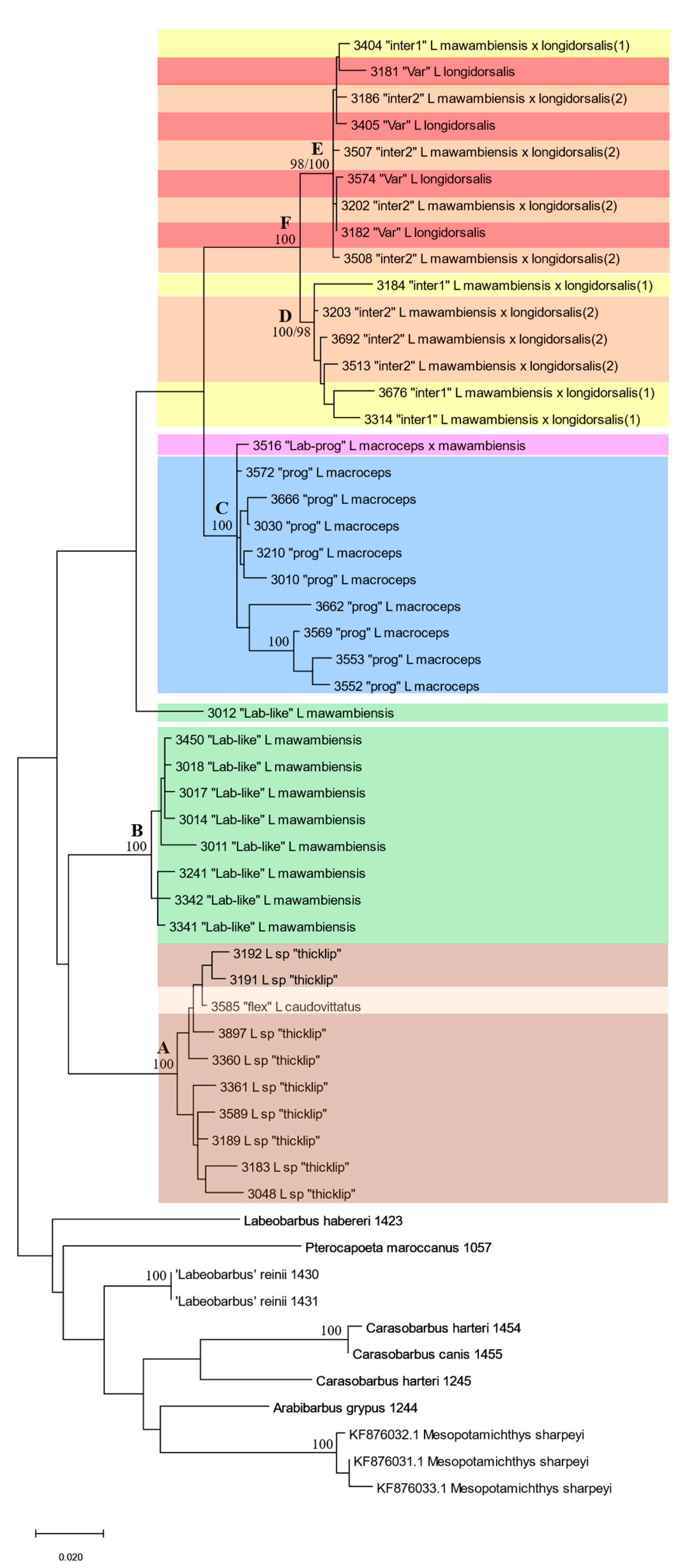 Diversity 14 01022 g006 Diversity 14 01022 g006