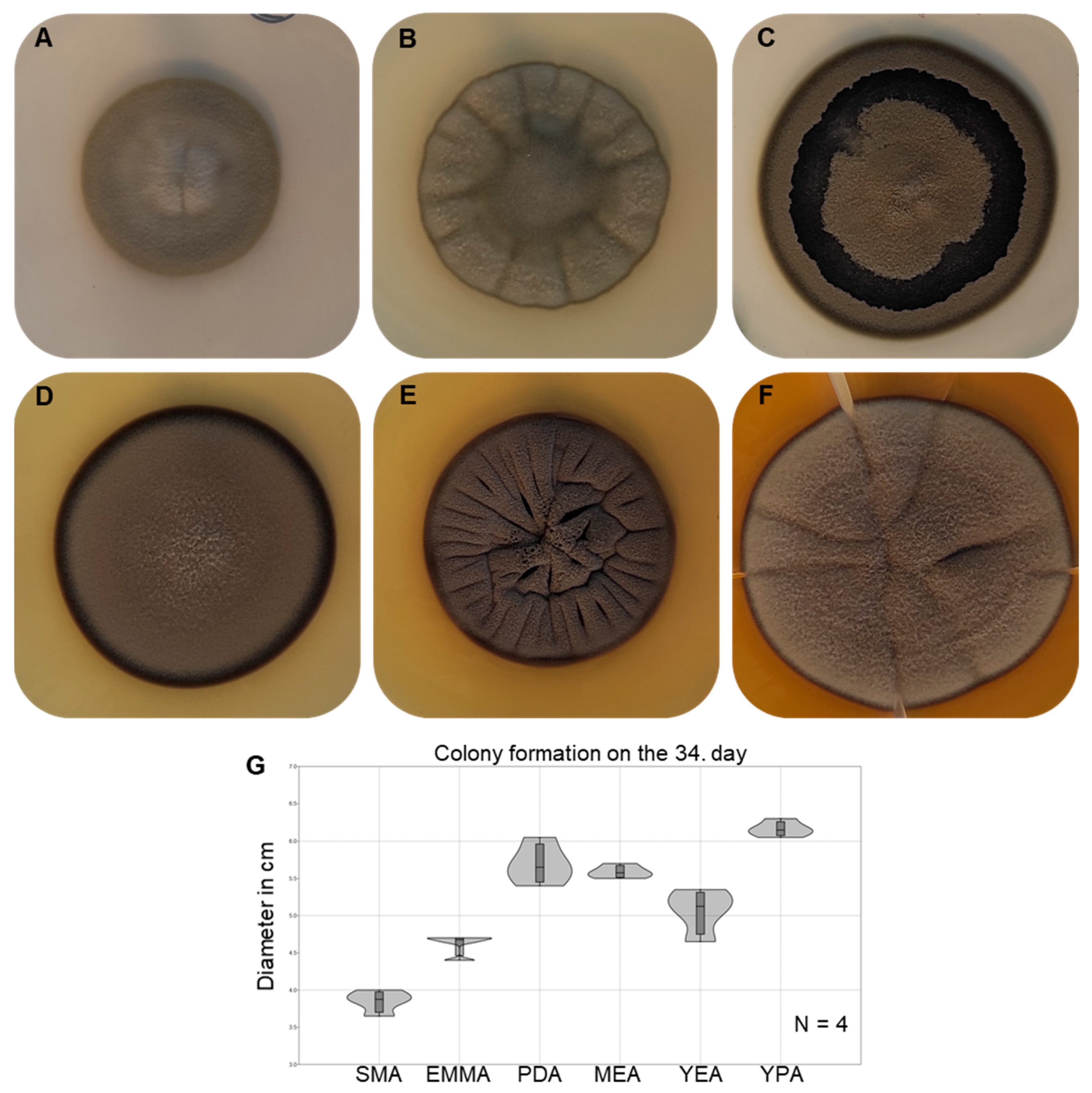 Diversity 14 01023 g003 Diversity 14 01023 g003