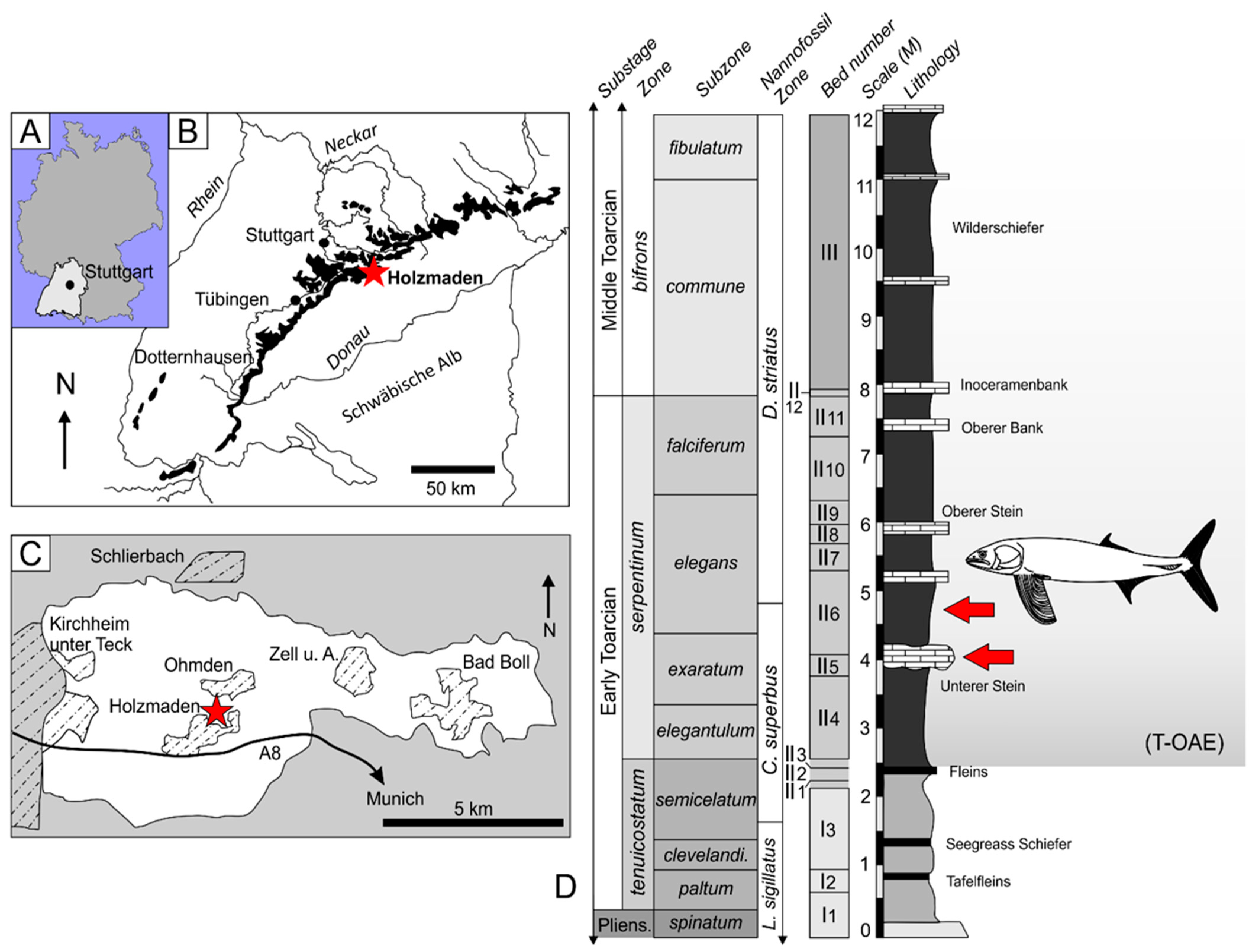 Diversity 14 01026 g001 Diversity 14 01026 g001