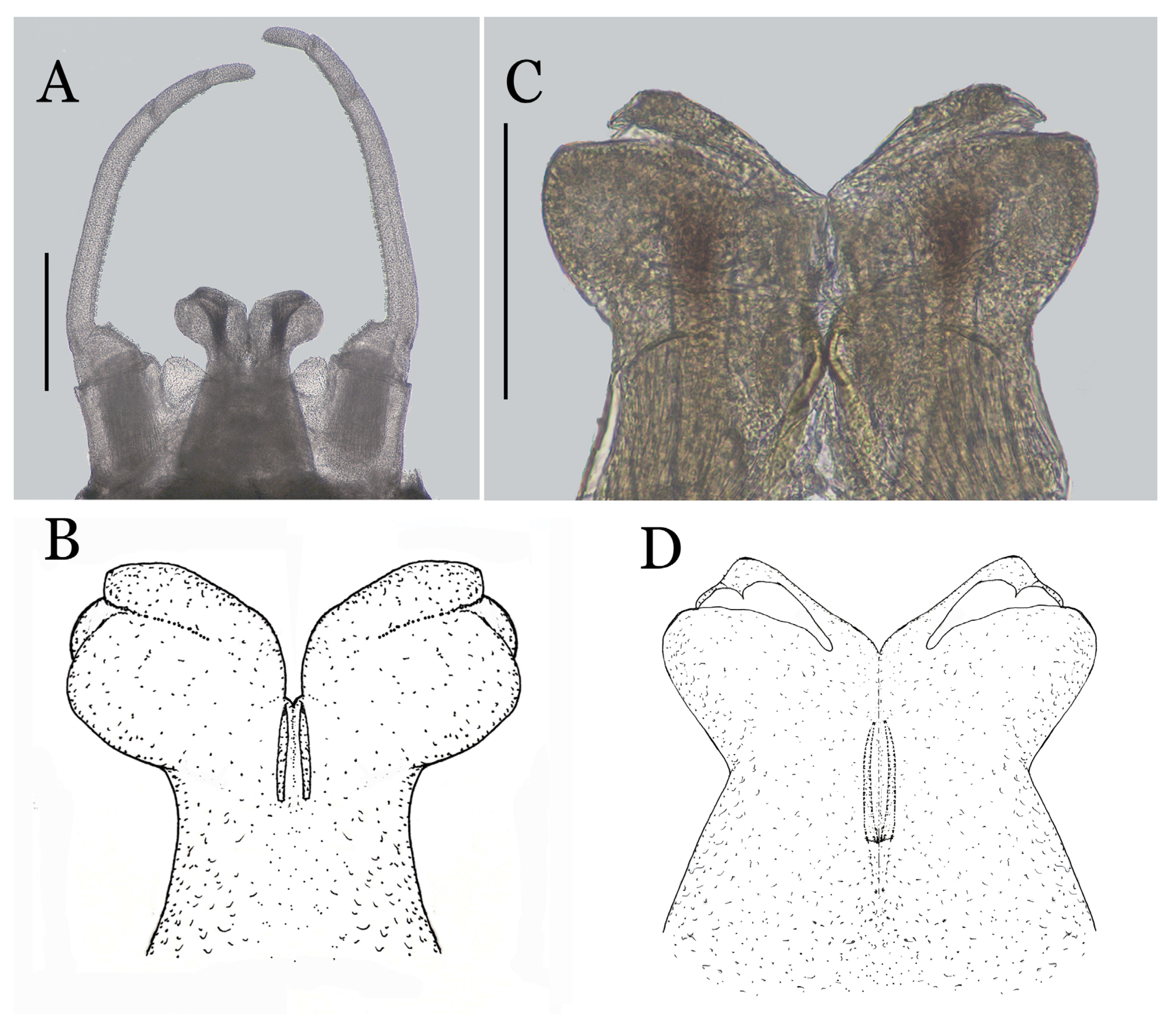Diversity 14 01027 g008