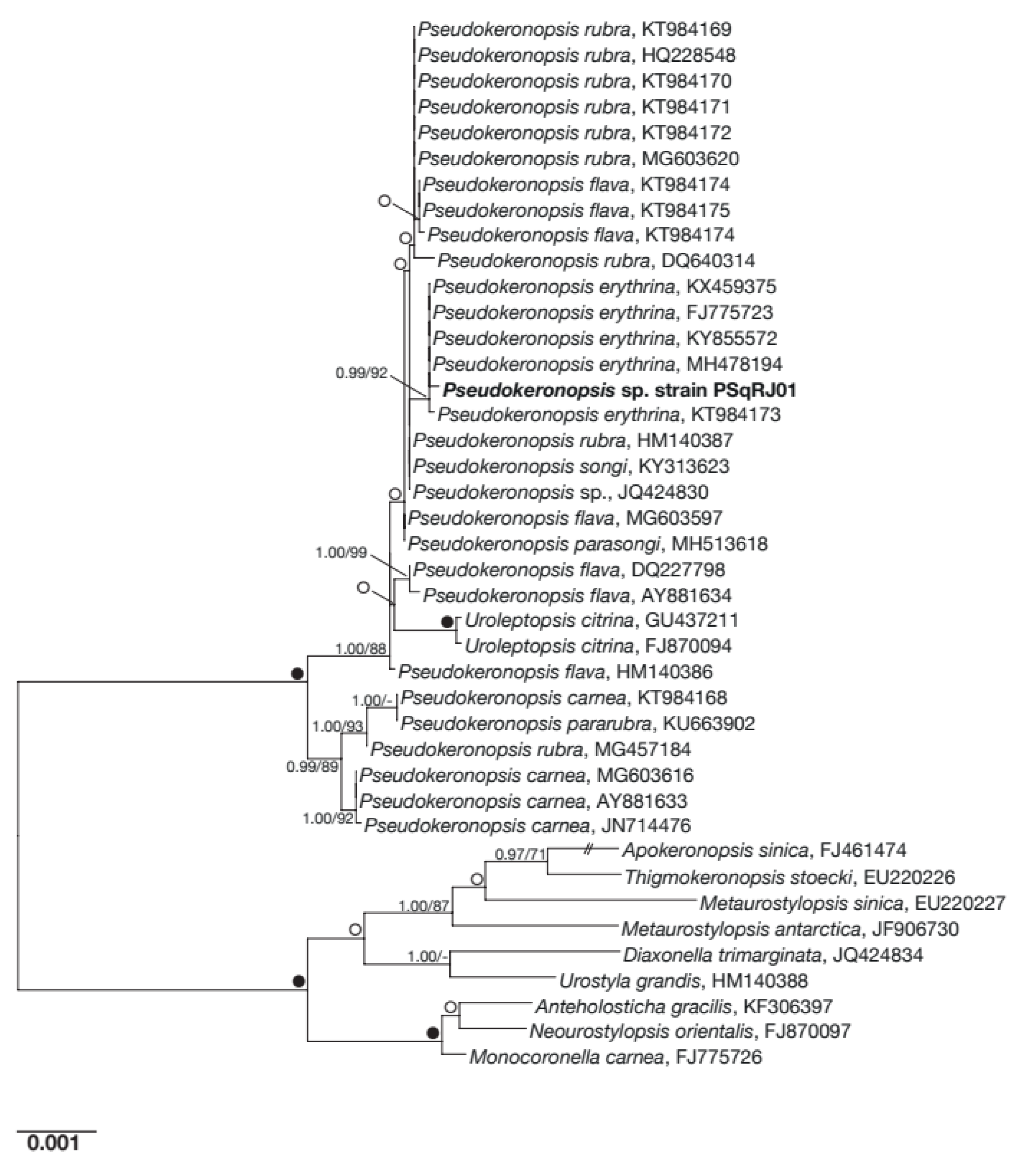 Diversity 14 01032 g003 Diversity 14 01032 g003