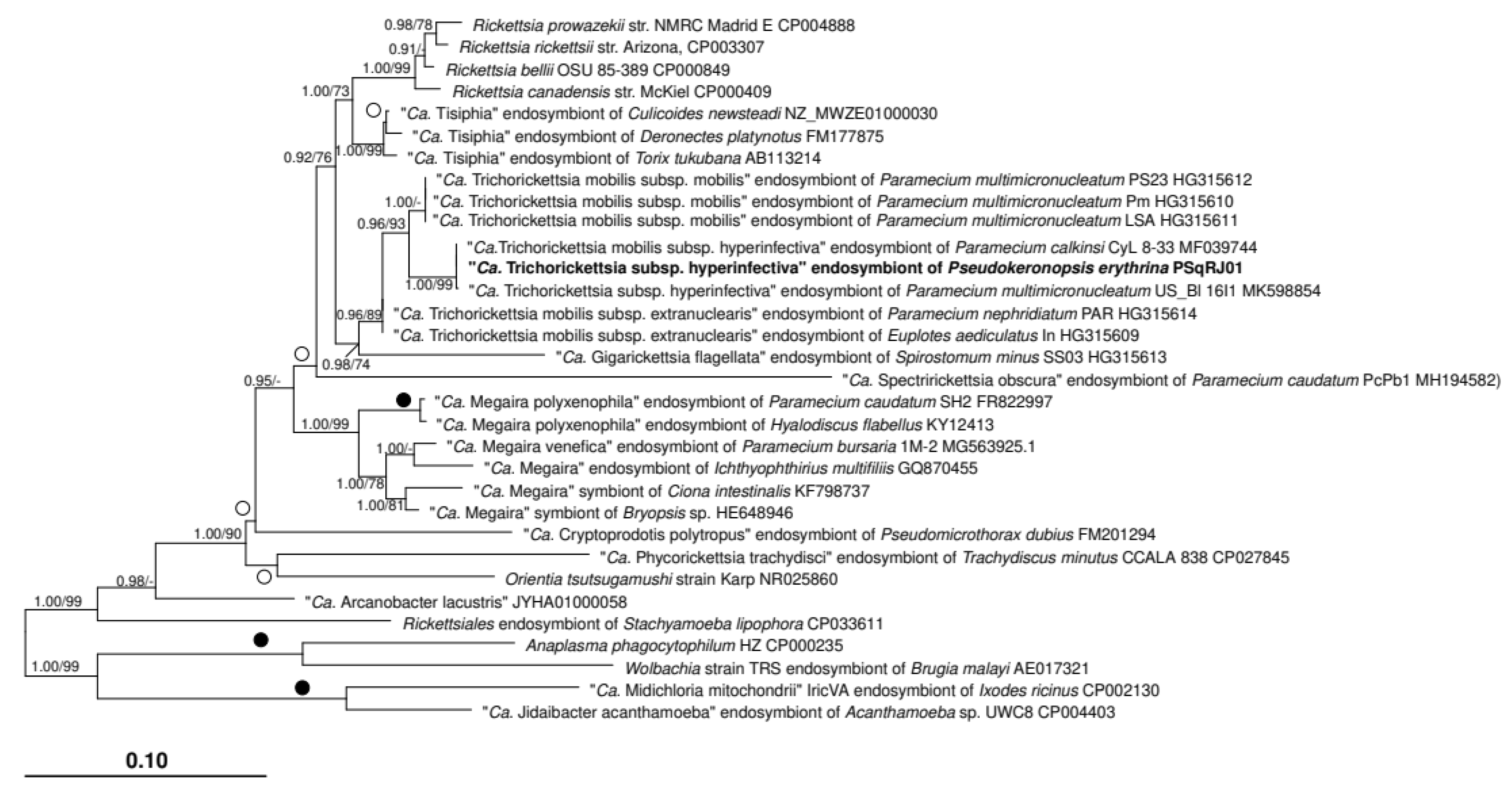 Diversity 14 01032 g004 Diversity 14 01032 g004