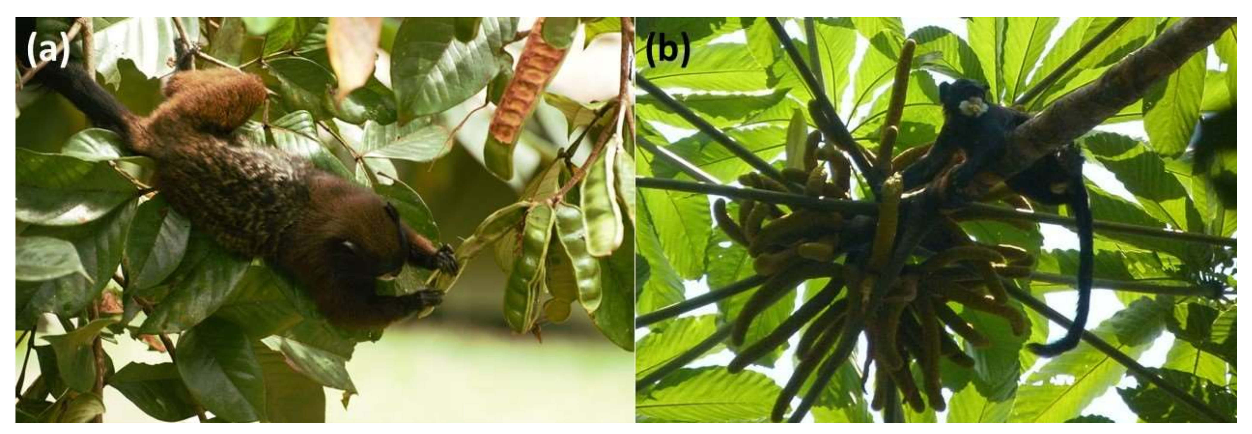 Diversity 14 01033 g001