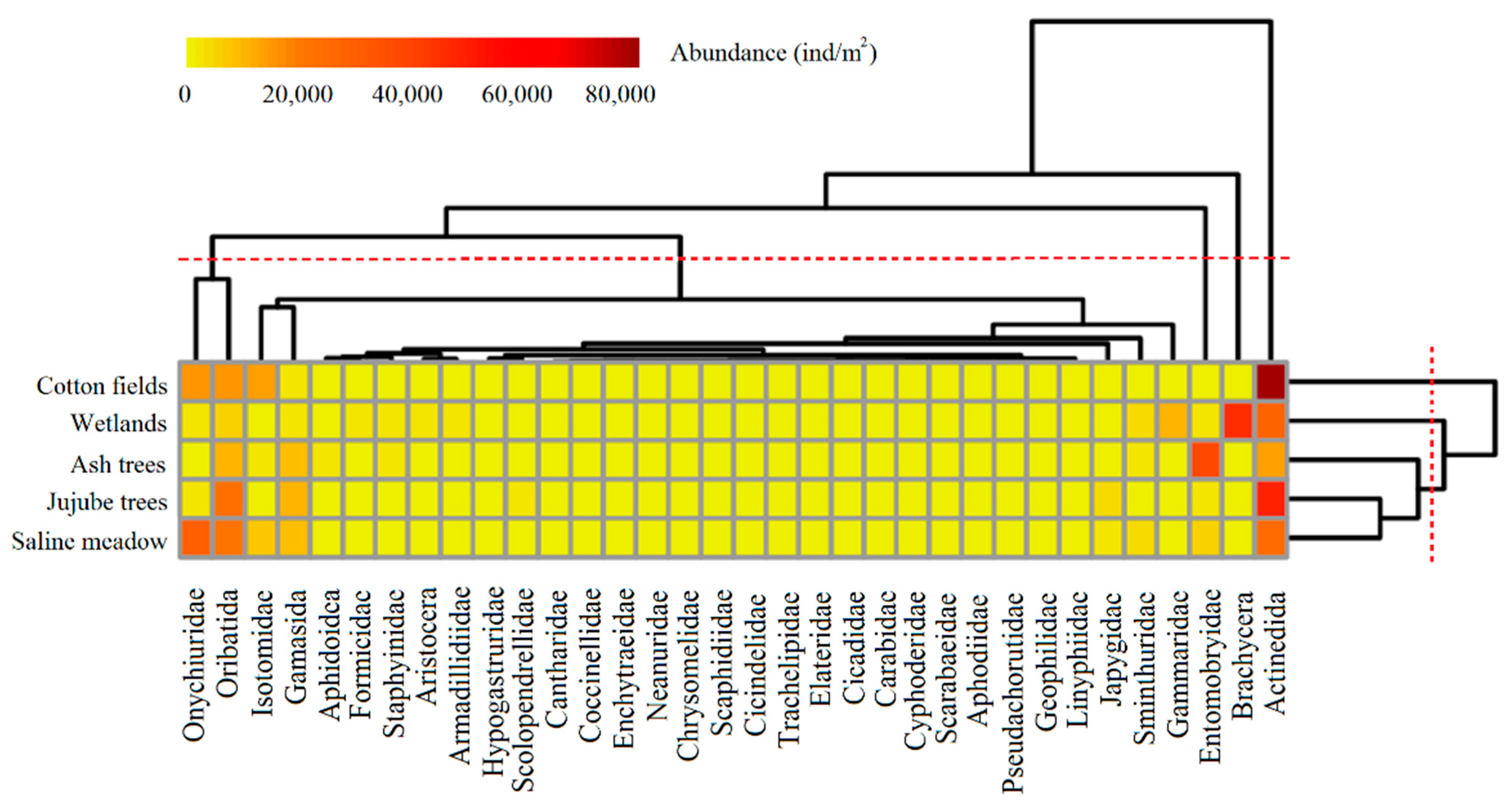 Diversity 14 01035 g004