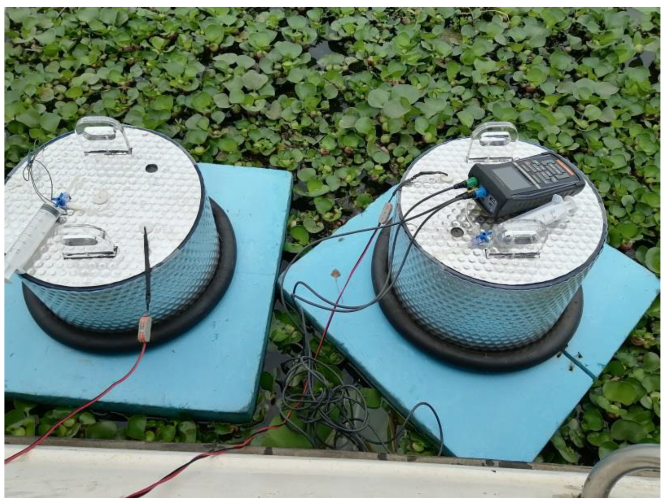 Diversity 14 01036 g002 Diversity 14 01036 g002