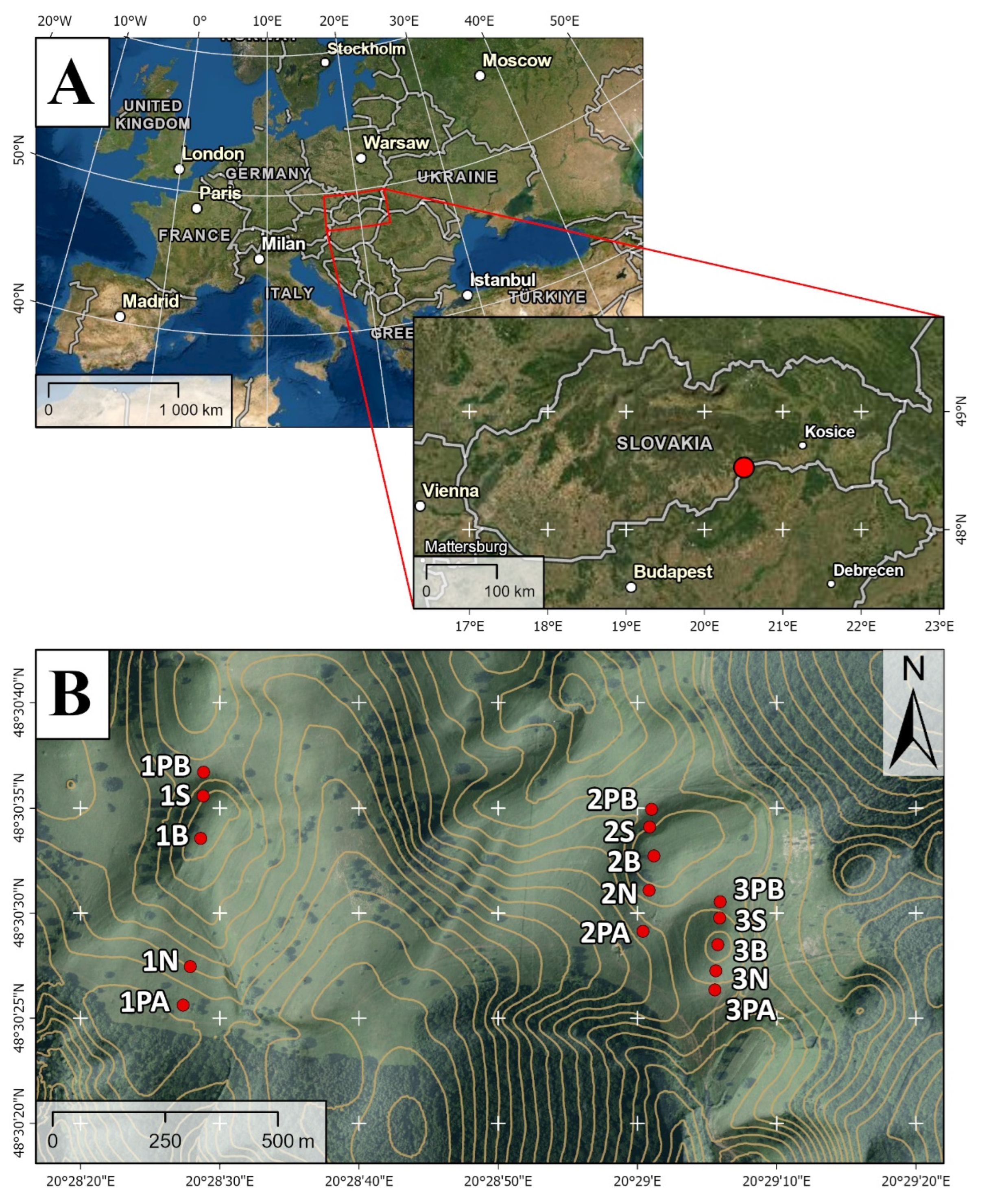 Diversity 14 01037 g001