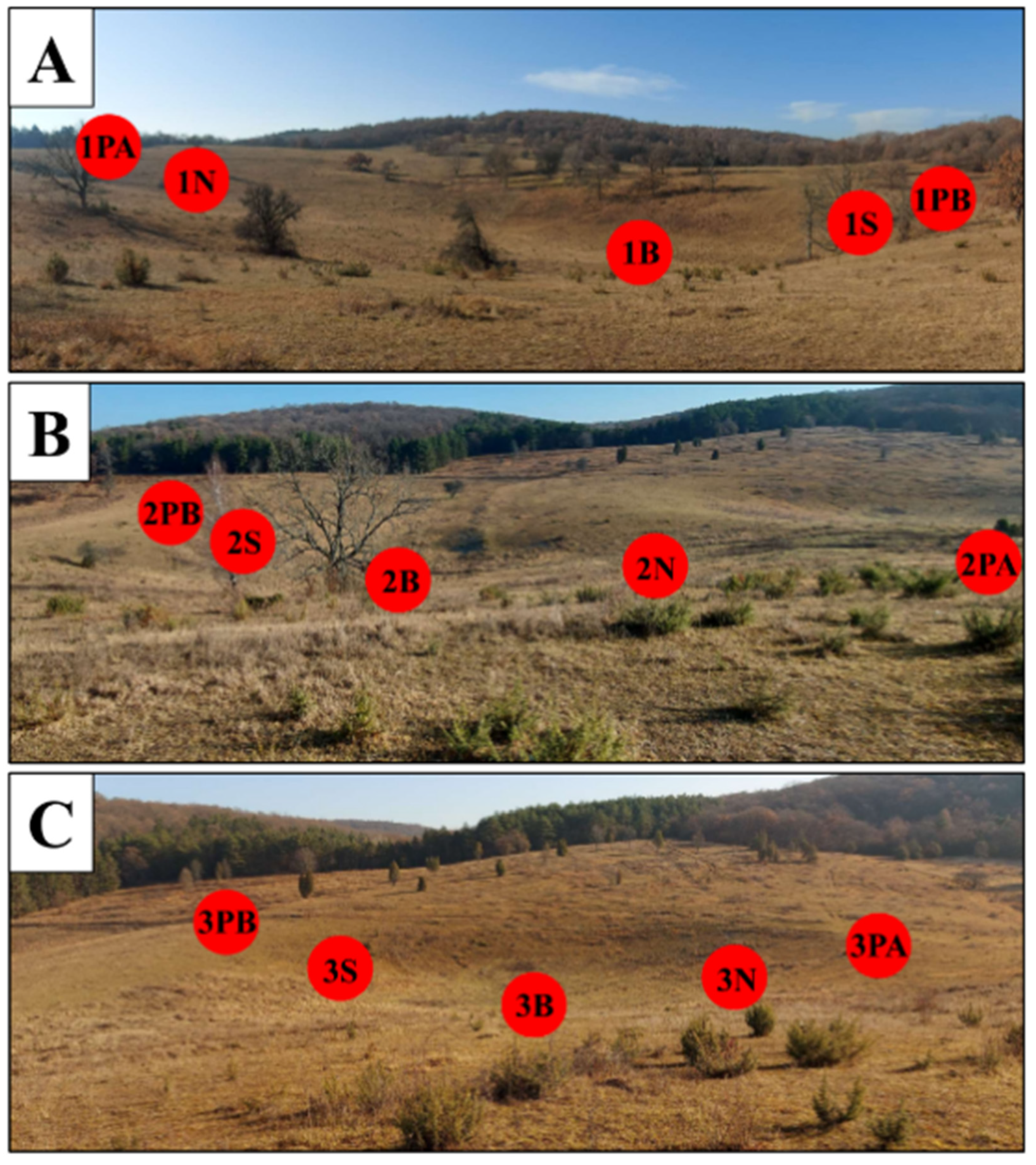 Diversity 14 01037 g002