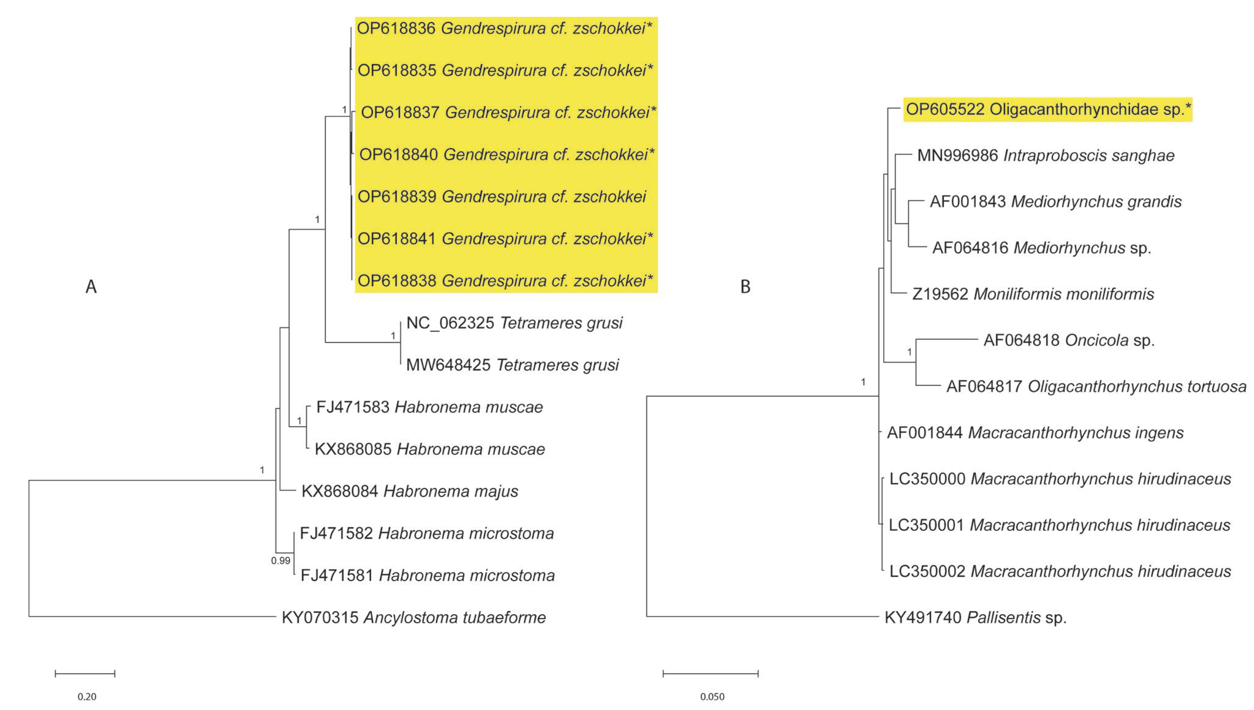 Diversity 14 01039 g004 Diversity 14 01039 g004