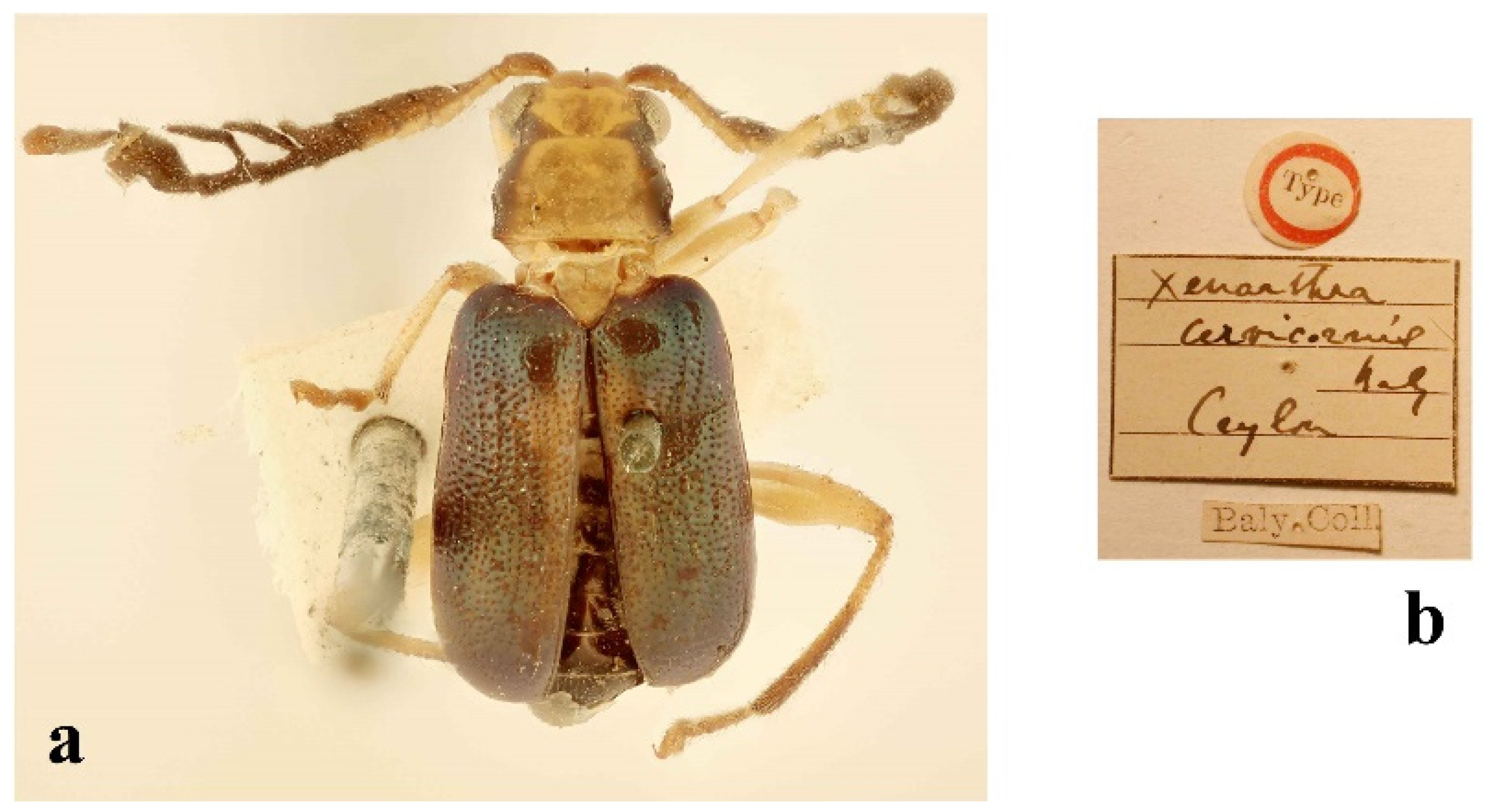 Diversity 14 01041 g001