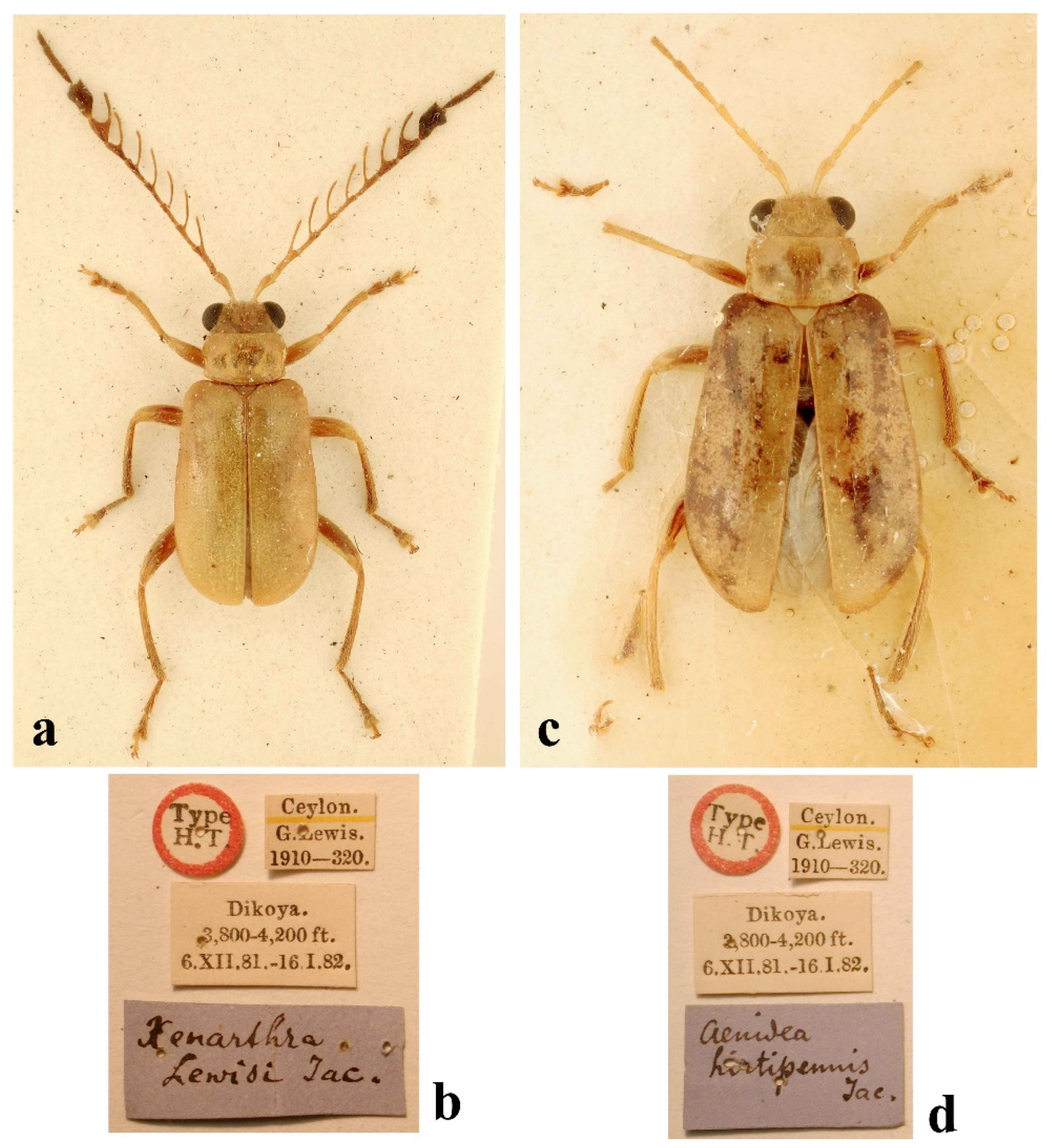 Diversity 14 01041 g004