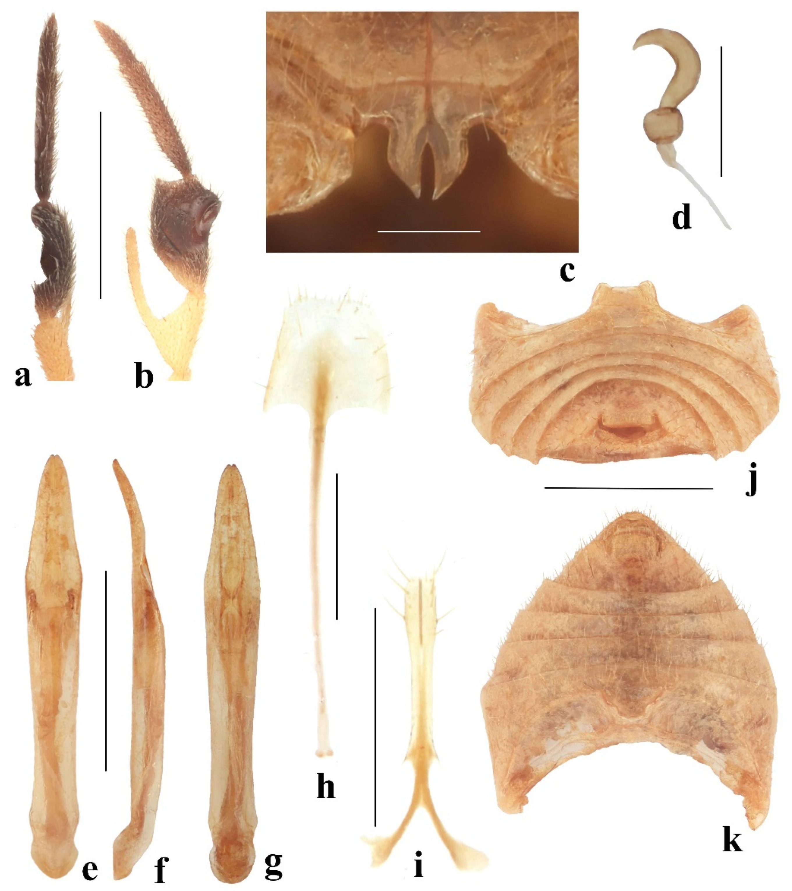 Diversity 14 01041 g006