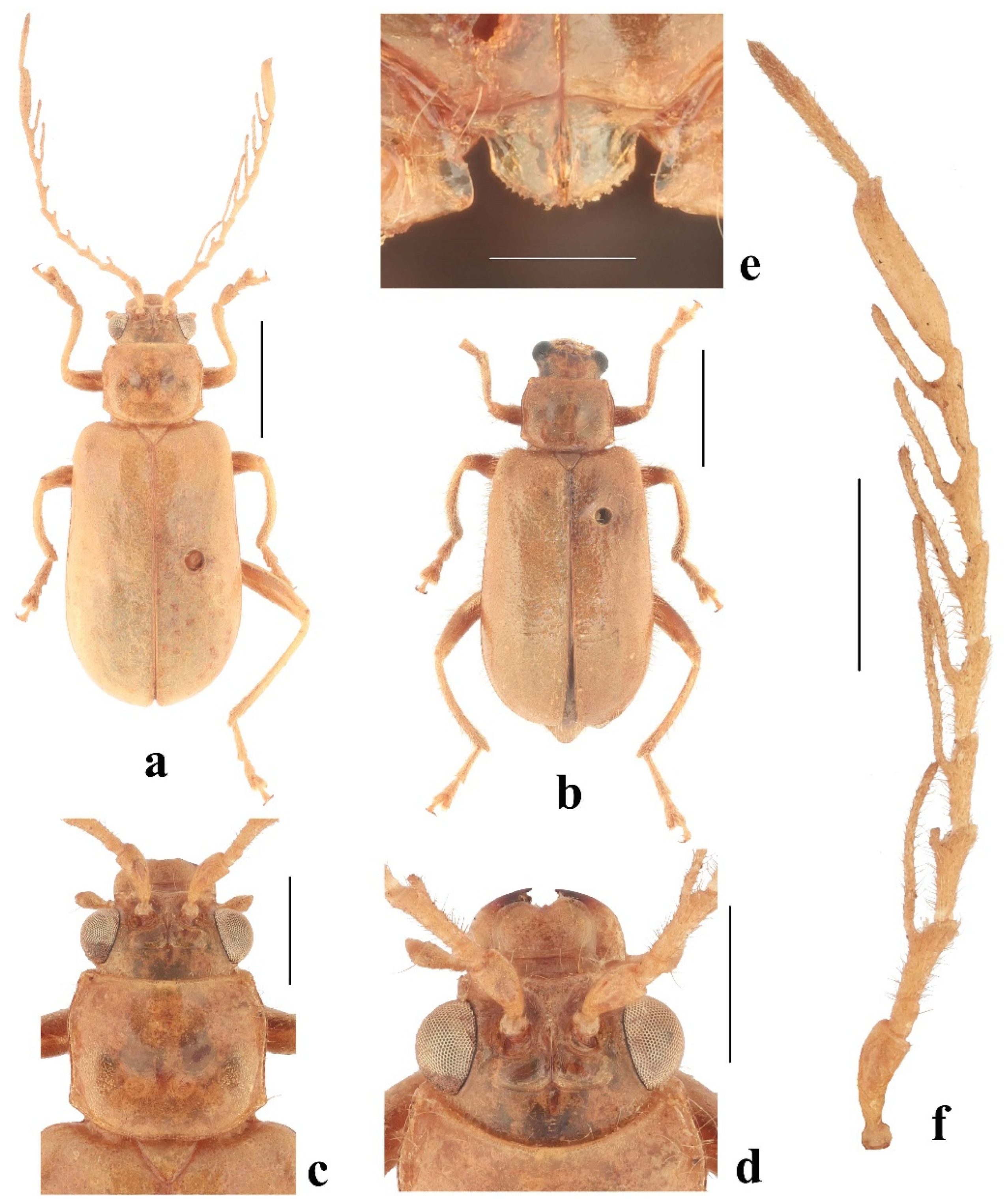 Diversity 14 01041 g010