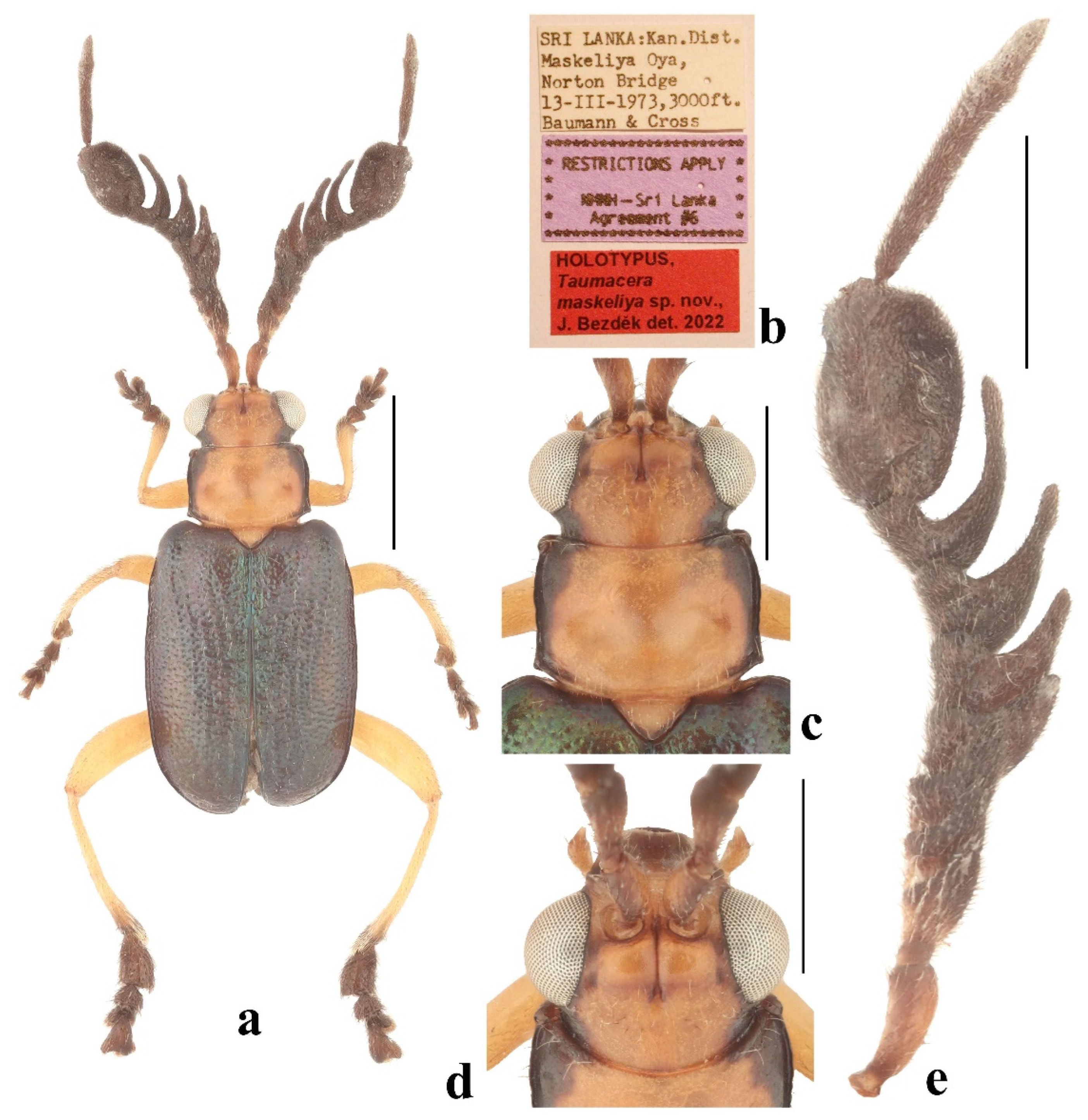 Diversity 14 01041 g014