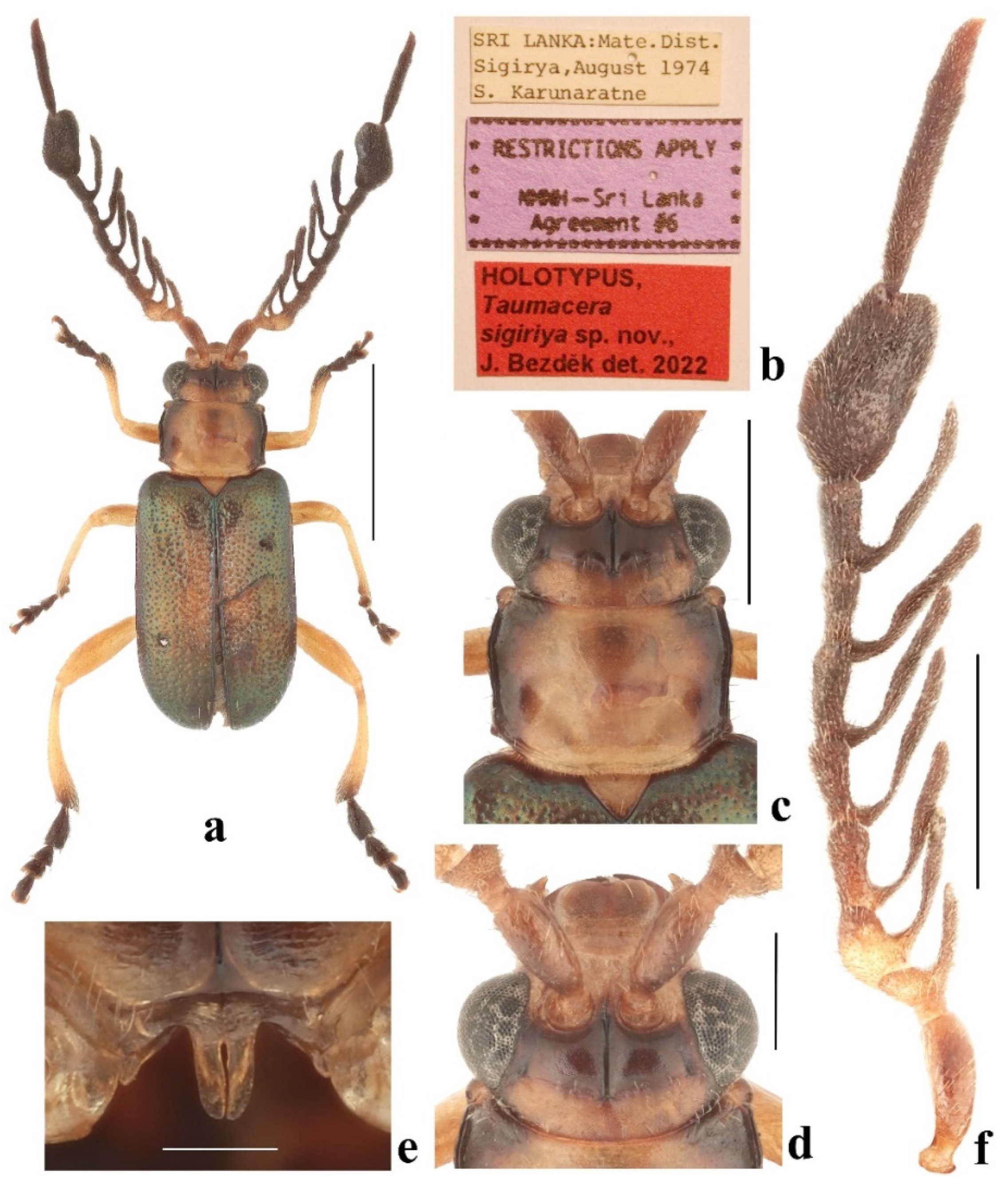 Diversity 14 01041 g016