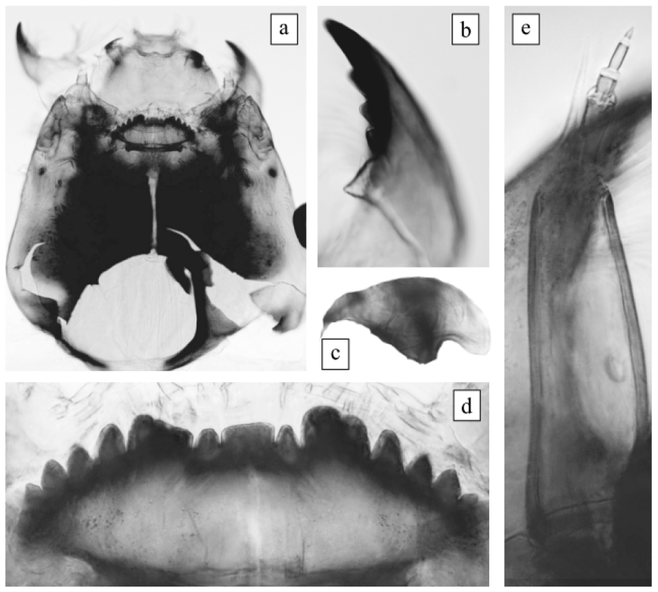 Diversity 14 01044 g001 Diversity 14 01044 g001