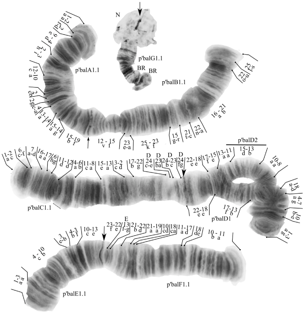 Diversity 14 01044 g003 Diversity 14 01044 g003