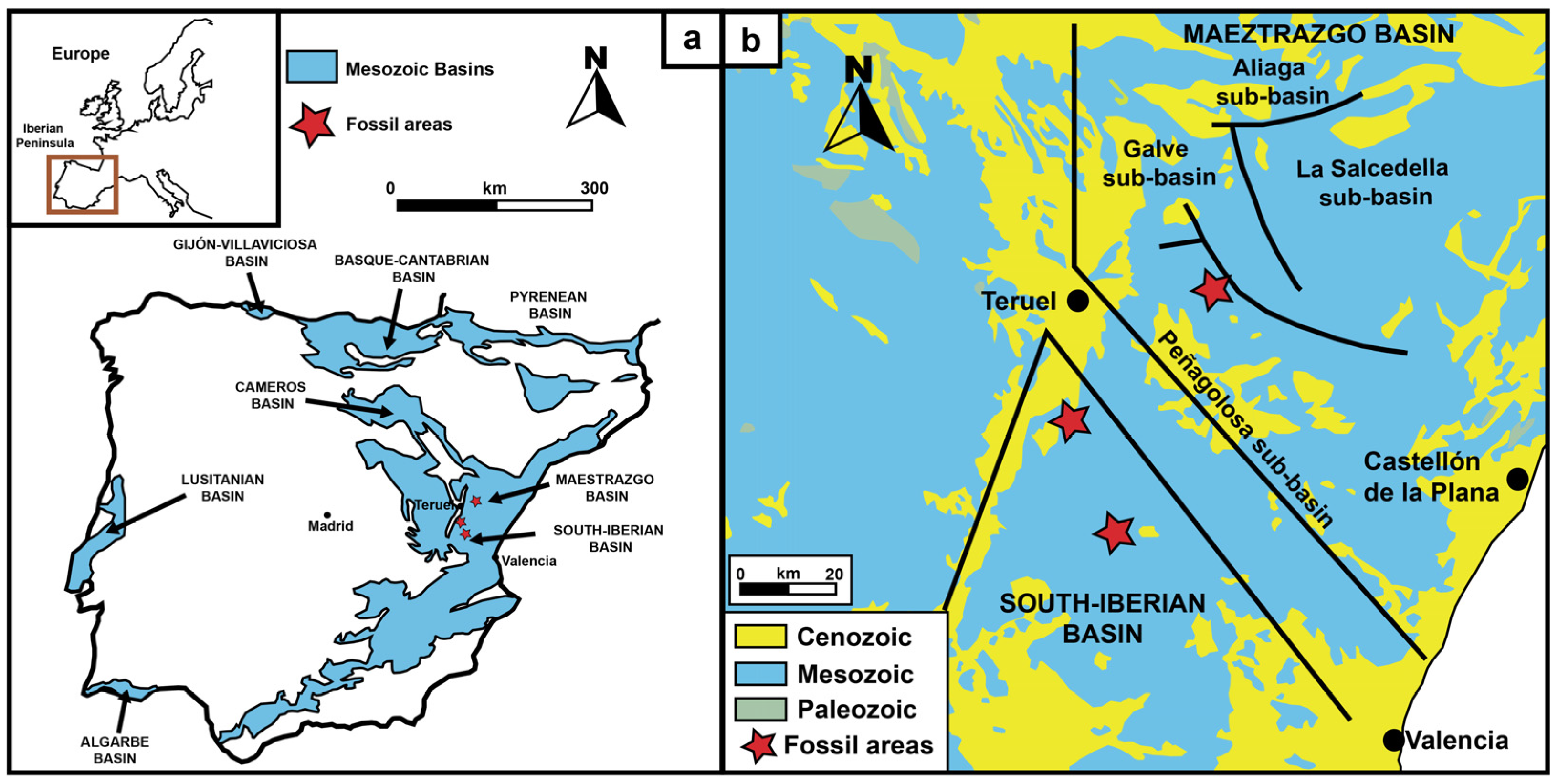 Diversity 14 01047 g001 Diversity 14 01047 g001