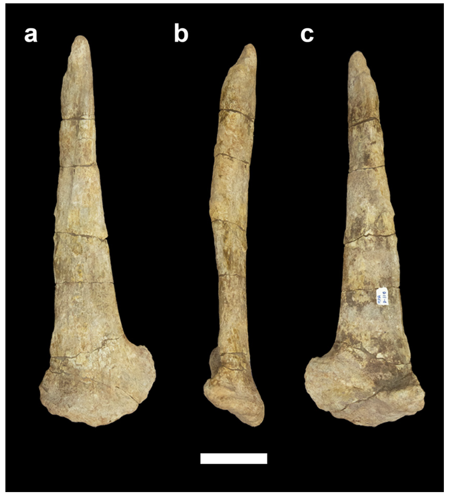 Diversity 14 01047 g003 Diversity 14 01047 g003