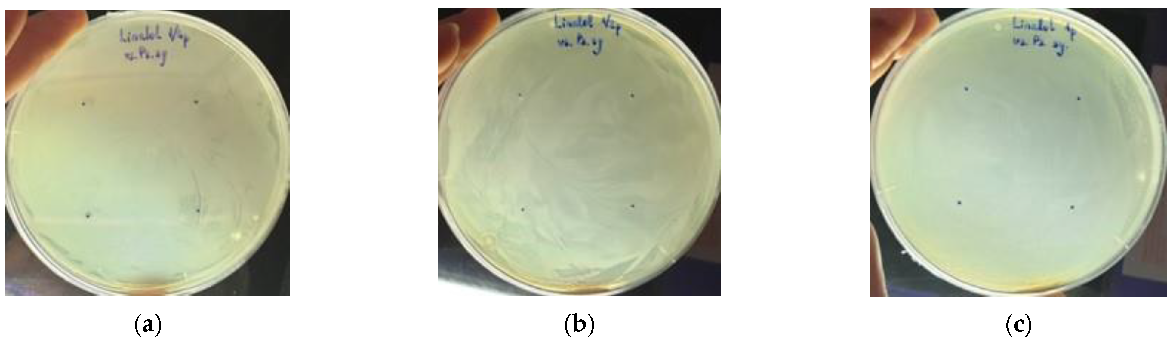 Diversity 14 01048 g003 Diversity 14 01048 g003