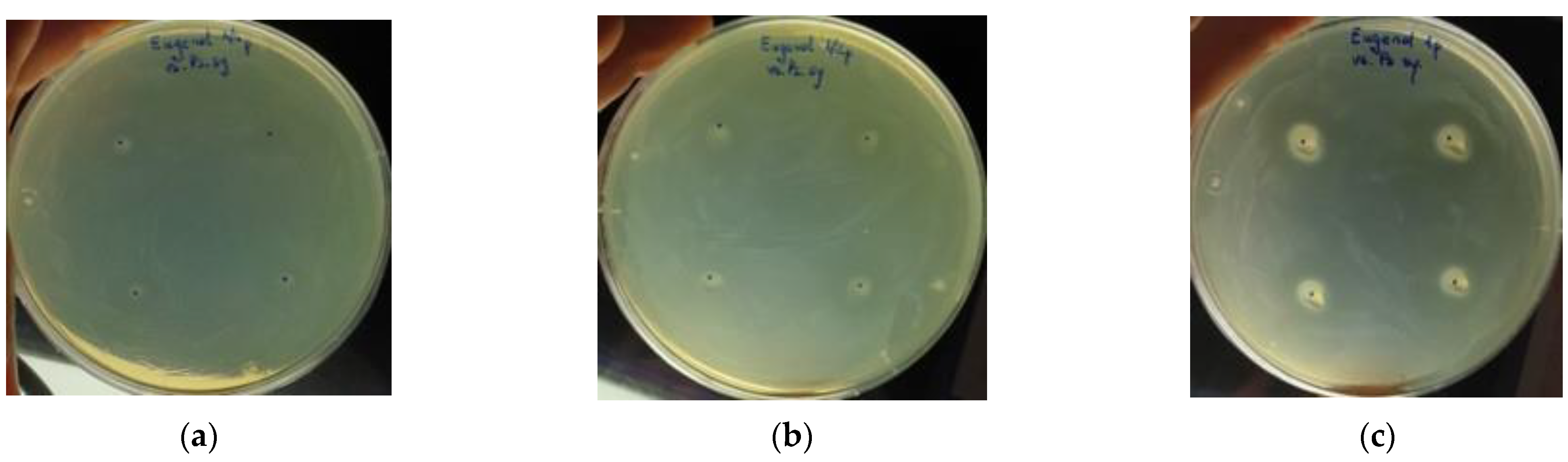 Diversity 14 01048 g005 Diversity 14 01048 g005