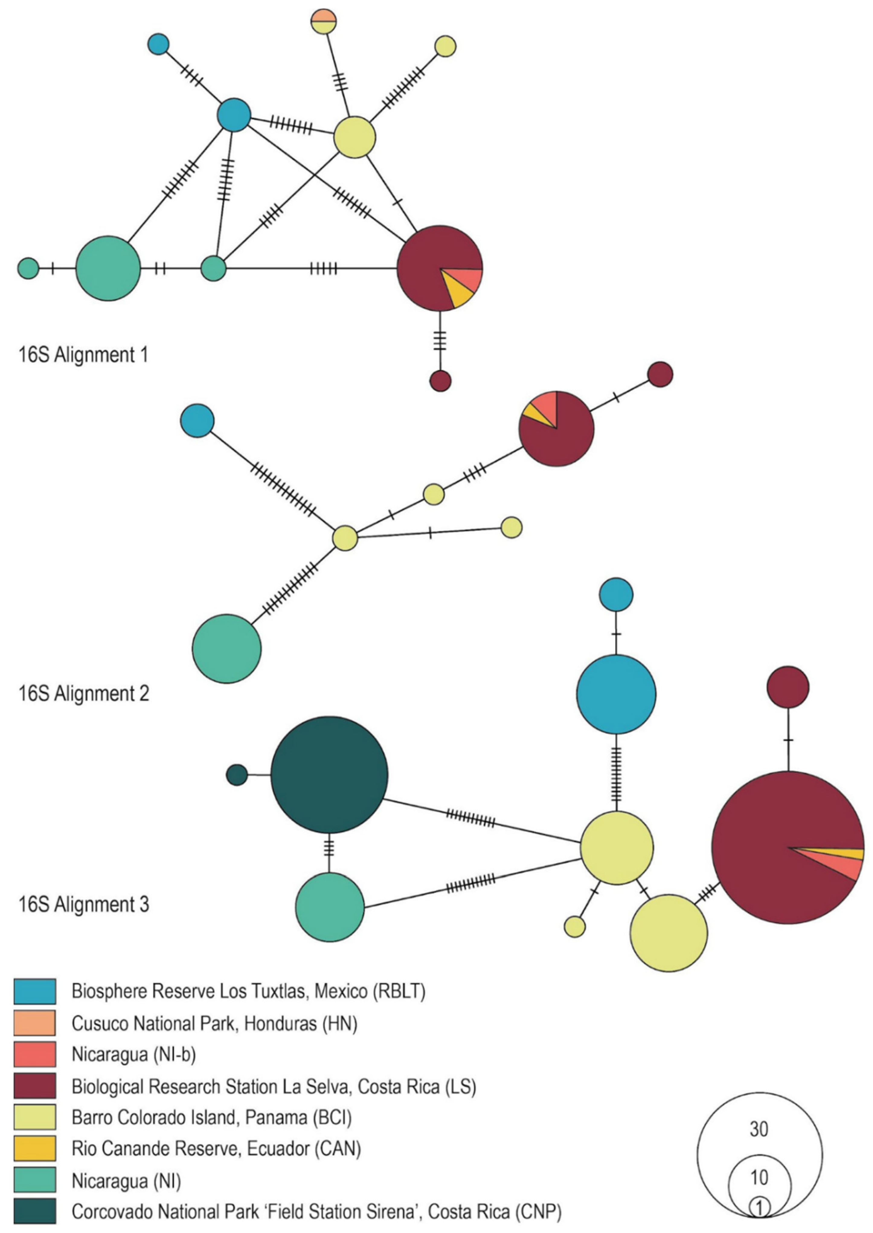 Diversity 14 01056 g001 Diversity 14 01056 g001