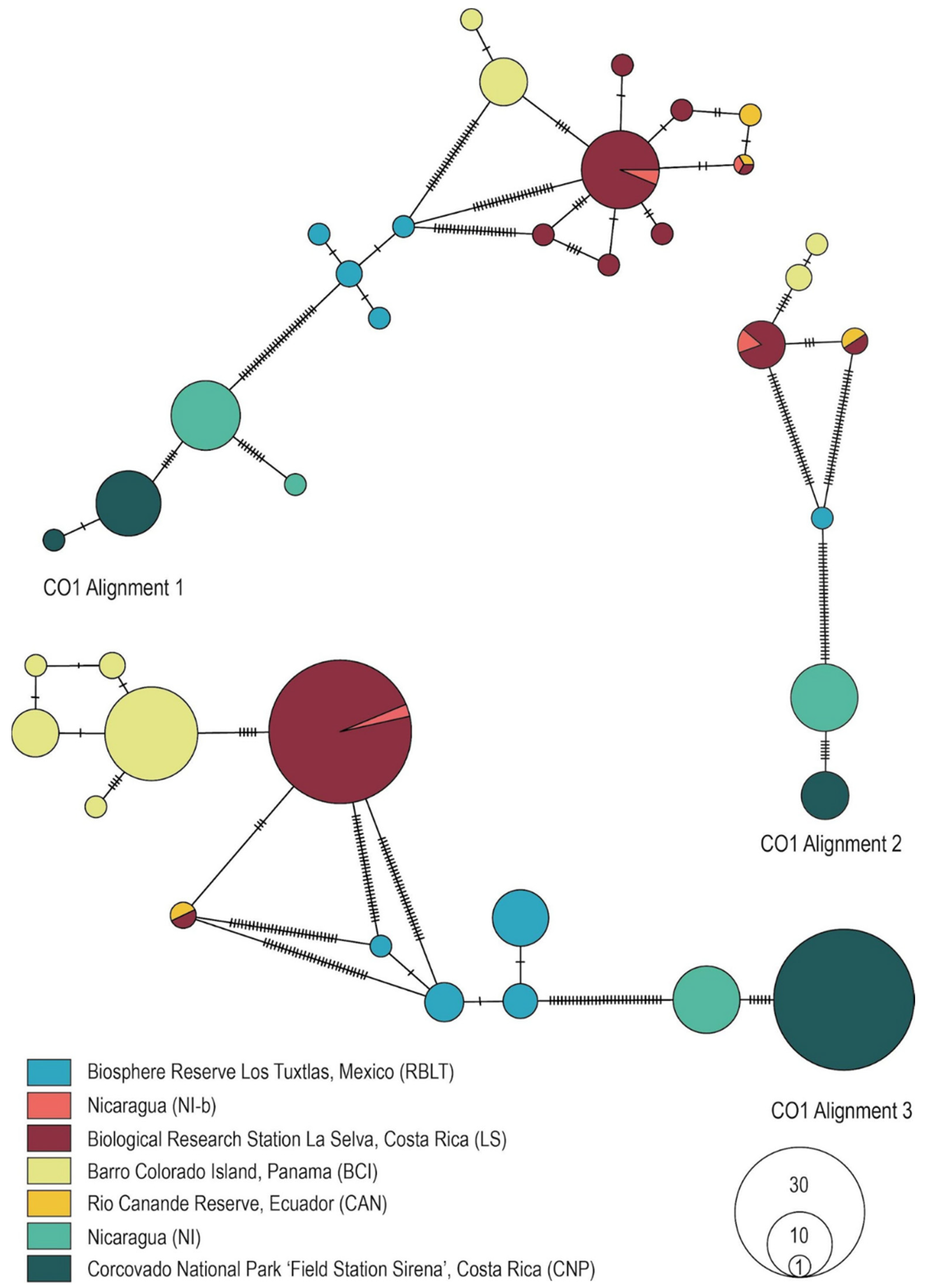 Diversity 14 01056 g002 Diversity 14 01056 g002