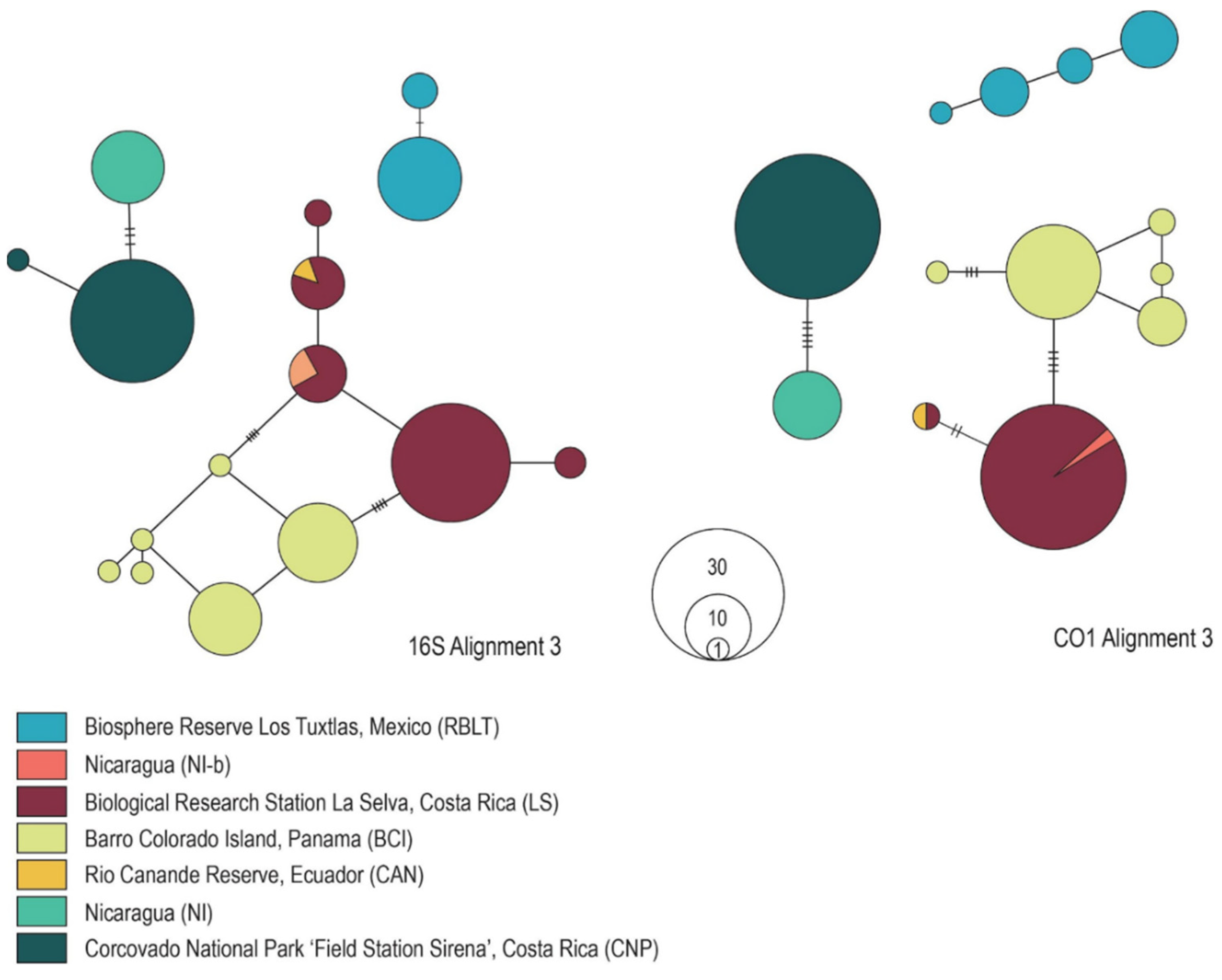 Diversity 14 01056 g003 Diversity 14 01056 g003