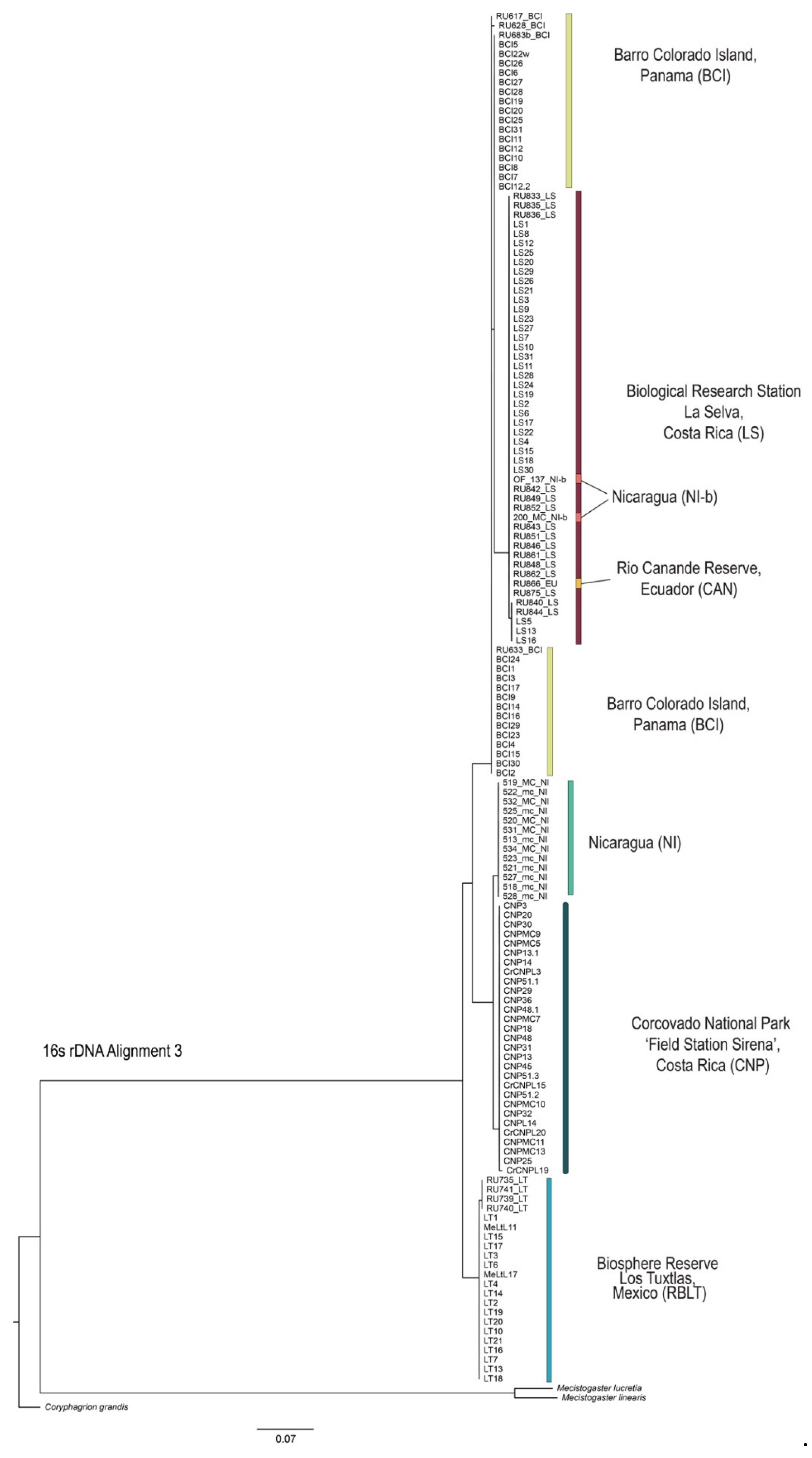 Diversity 14 01056 g004 Diversity 14 01056 g004