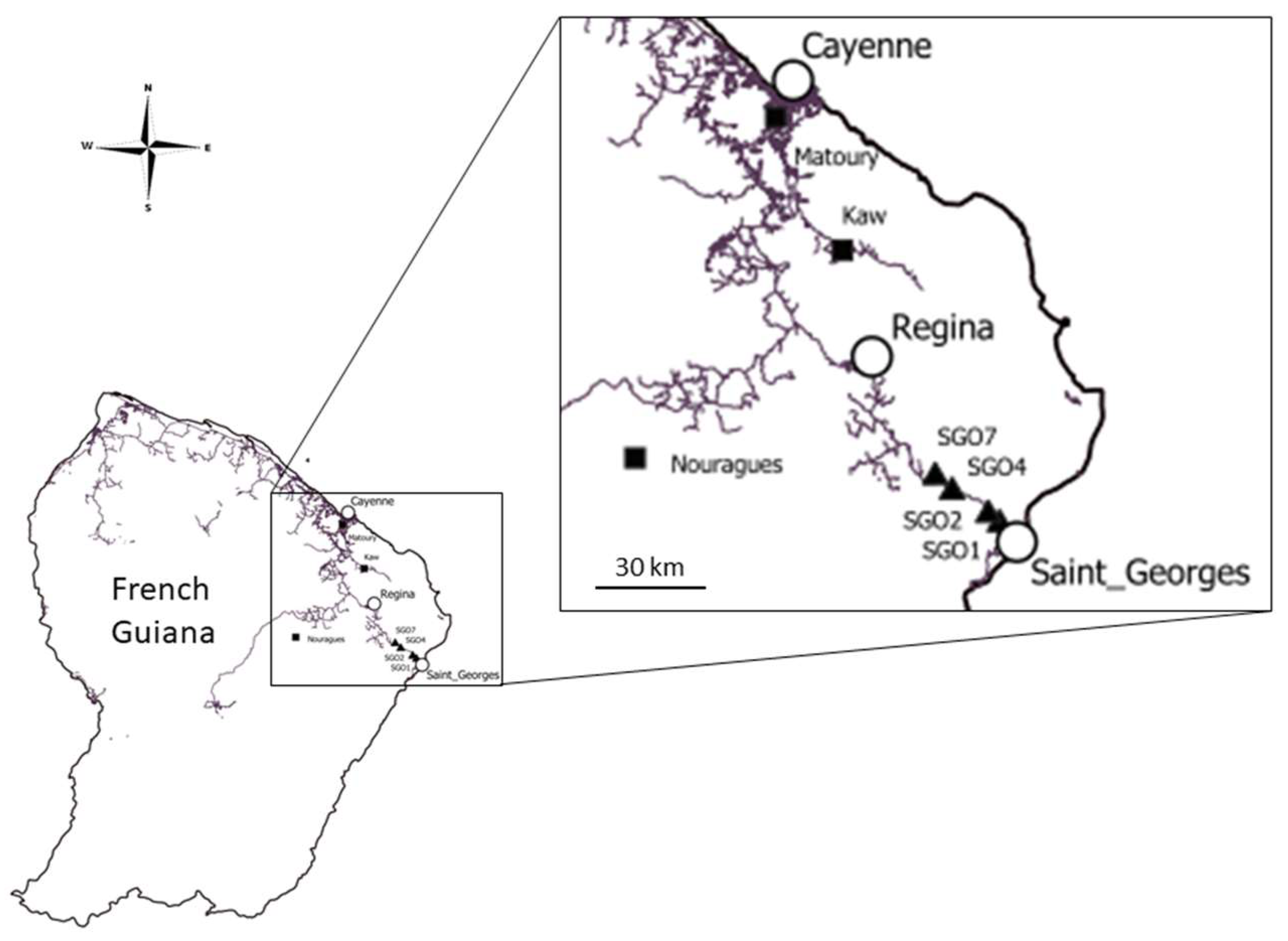 Diversity 14 01059 g001