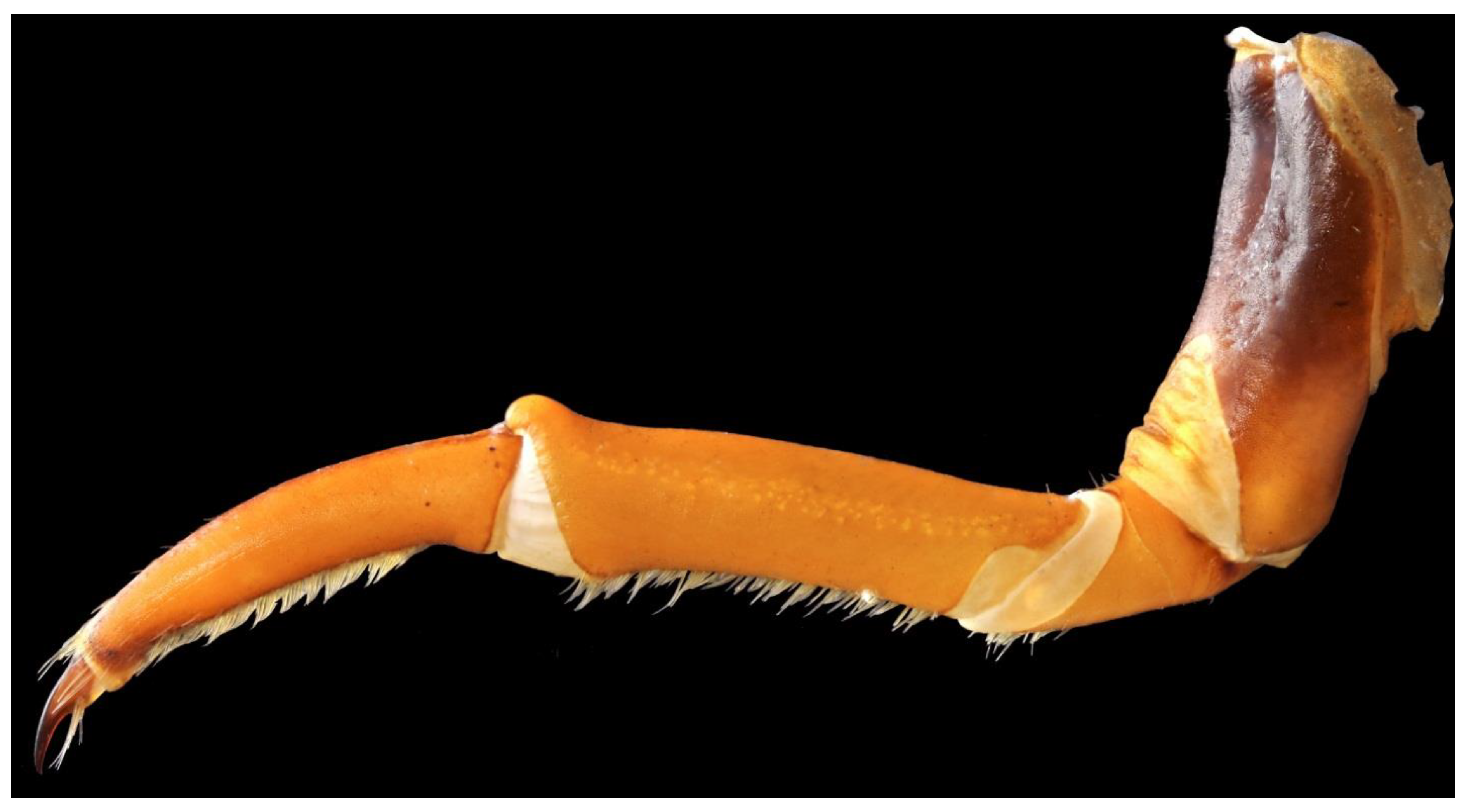 Diversity 14 01063 g004