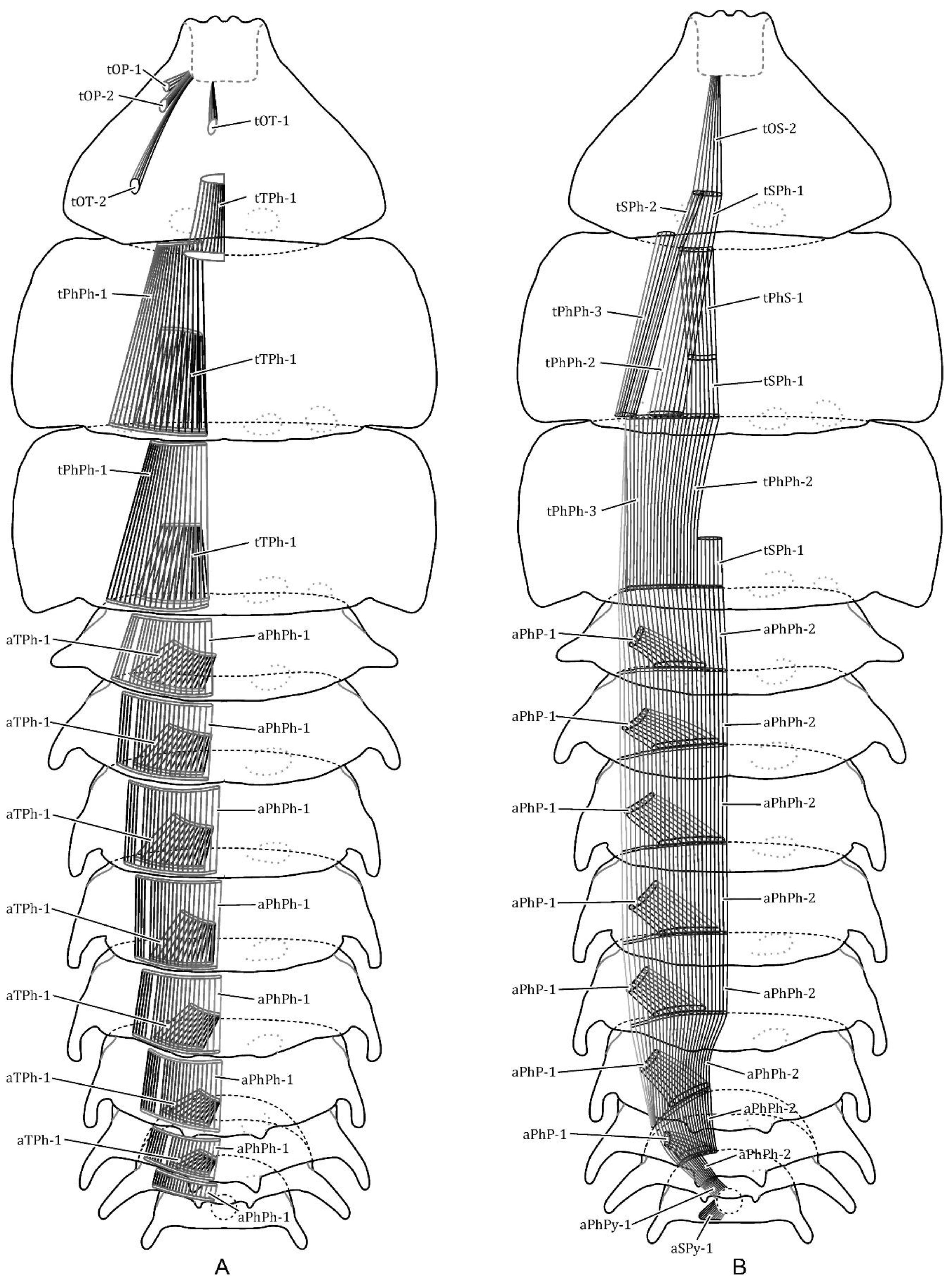 Diversity 14 01063 g009