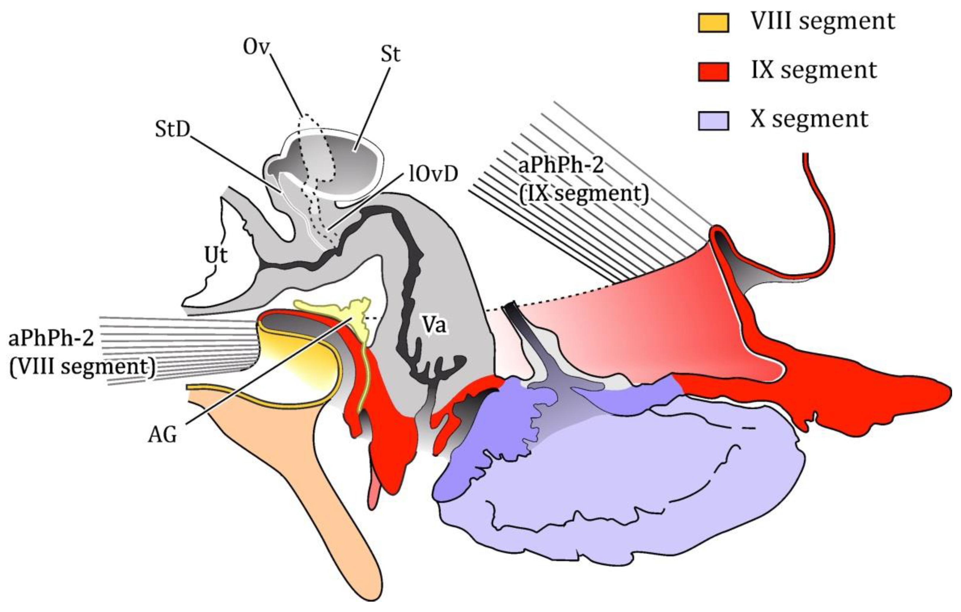 Diversity 14 01063 g013