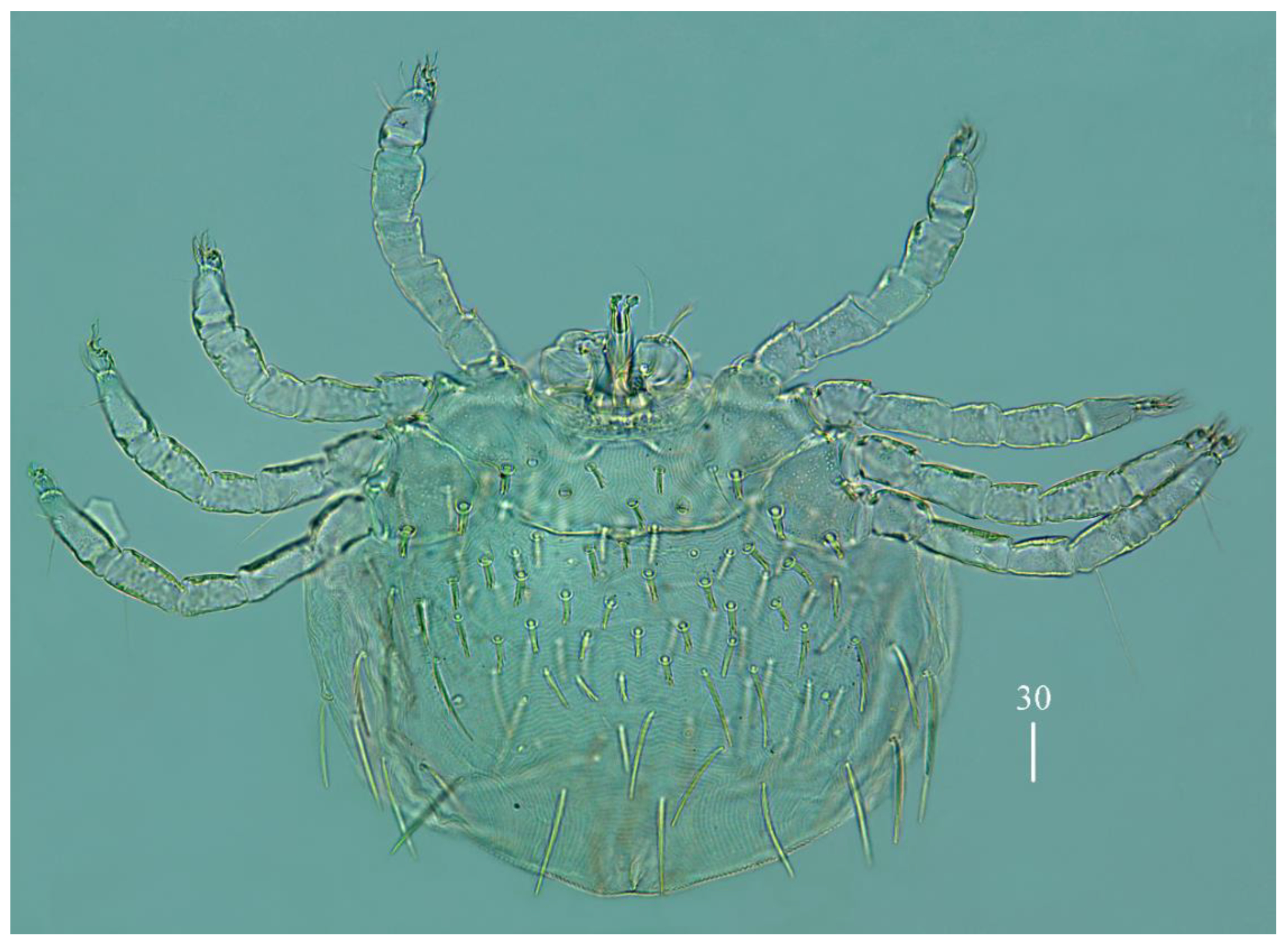 Diversity 14 01064 g004