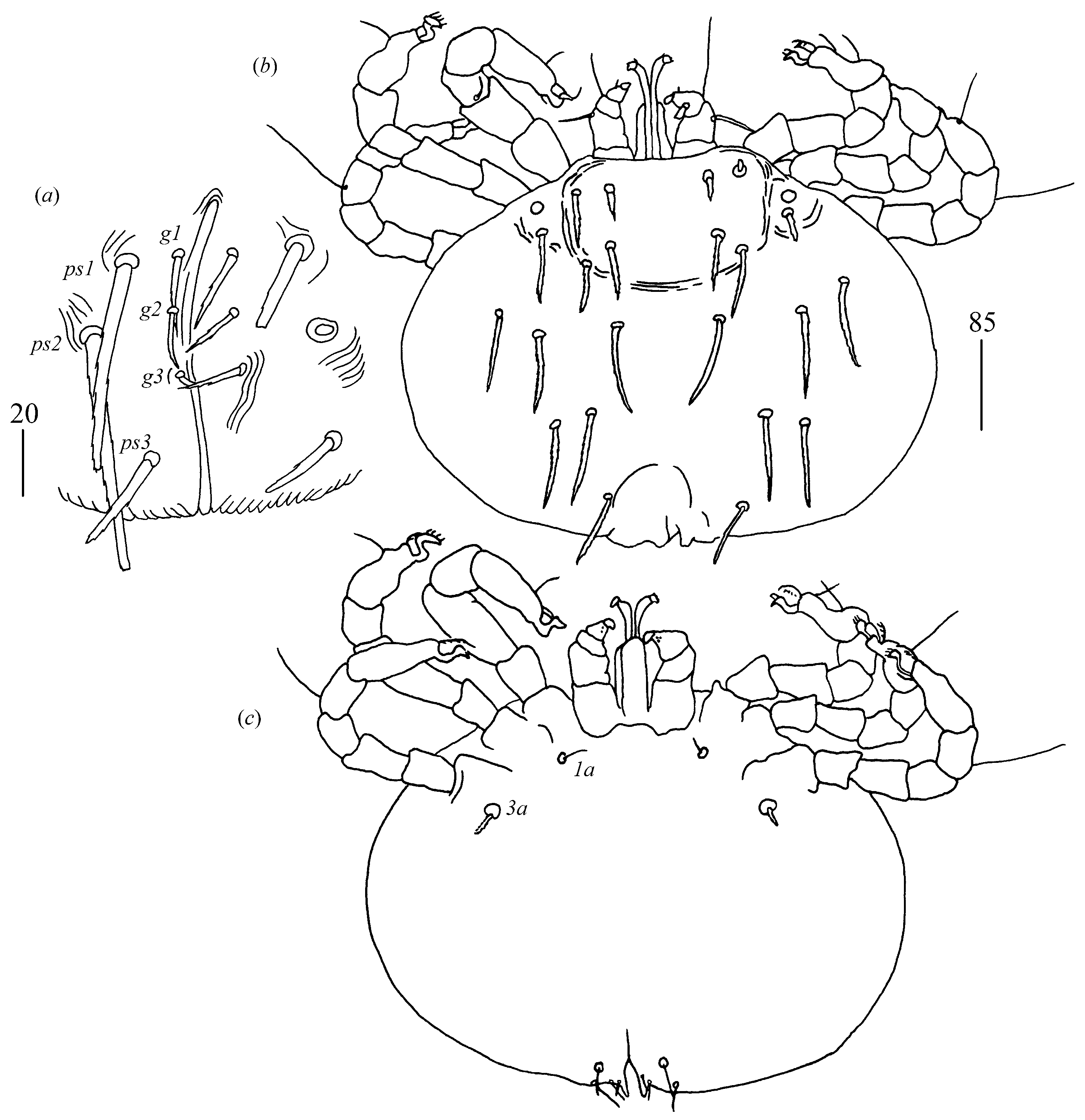 Diversity 14 01064 g005