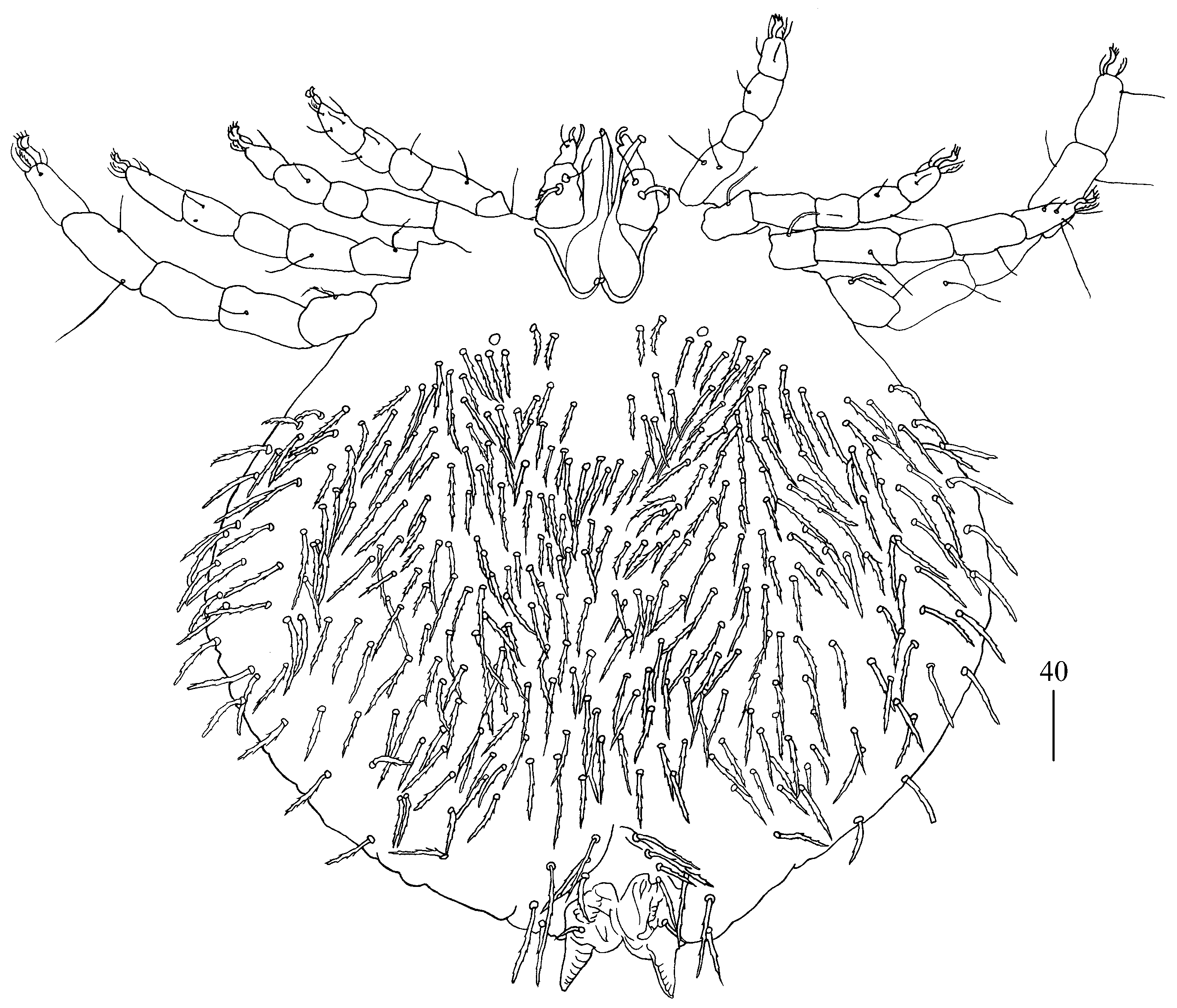 Diversity 14 01064 g006