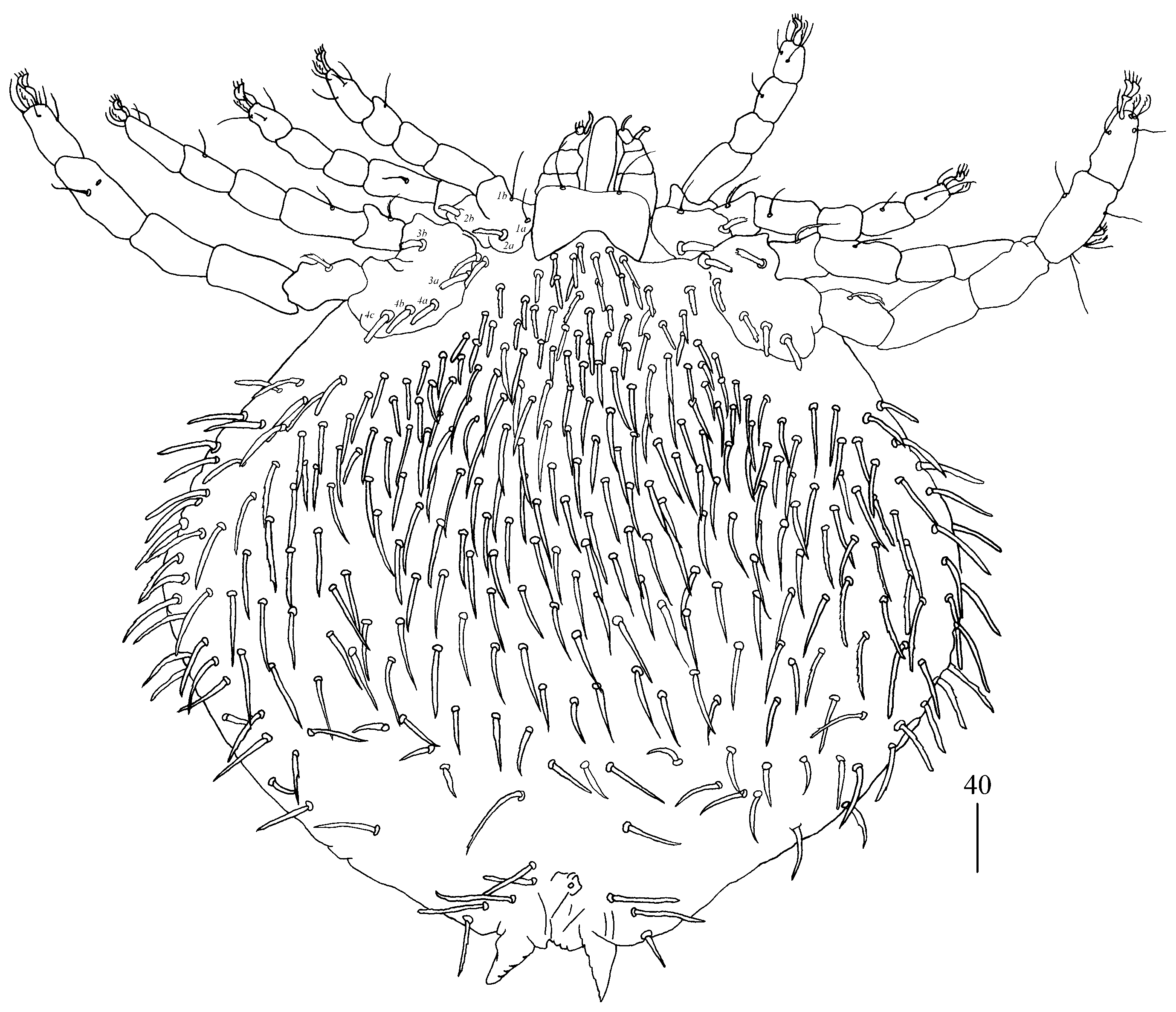 Diversity 14 01064 g007