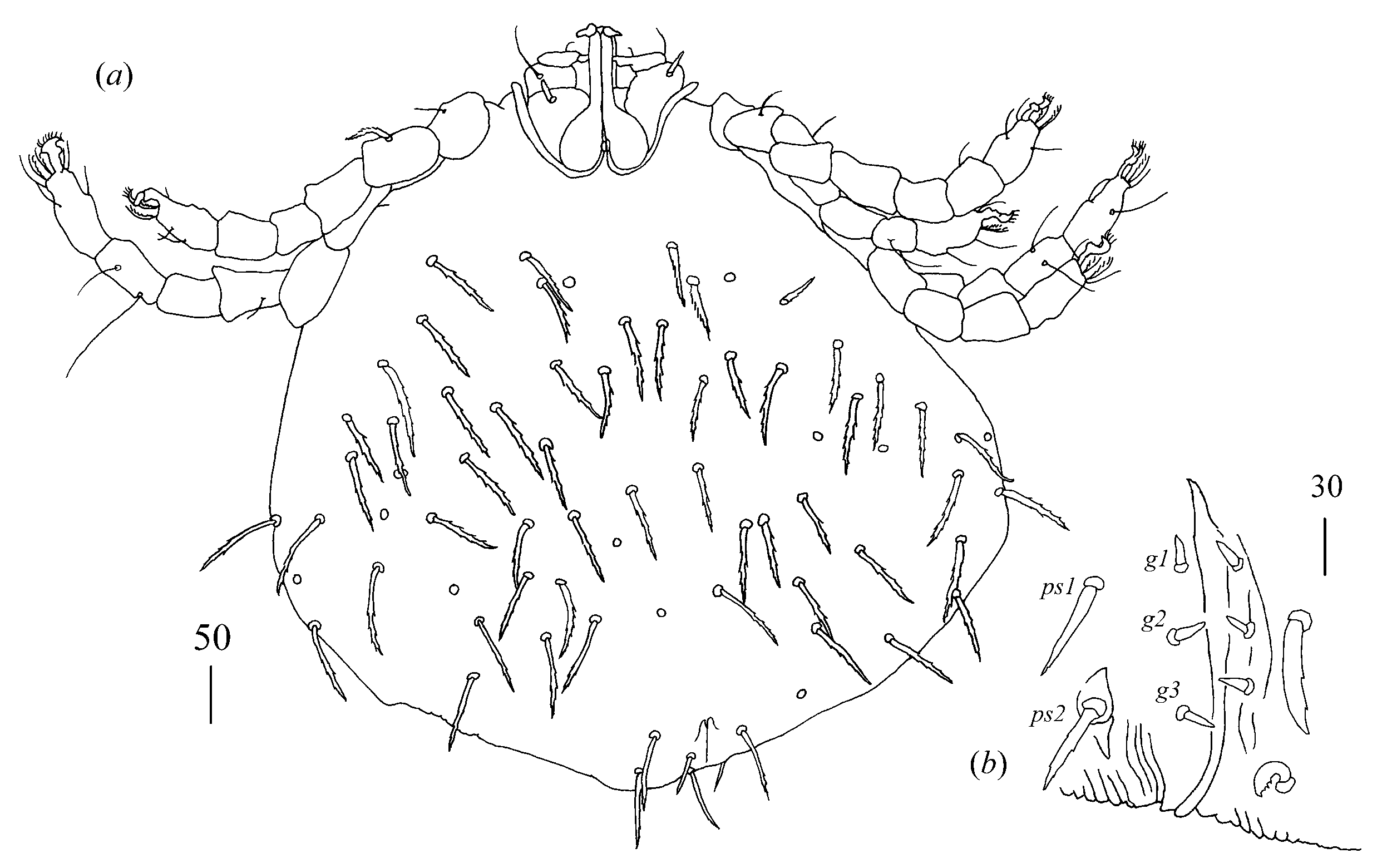 Diversity 14 01064 g009
