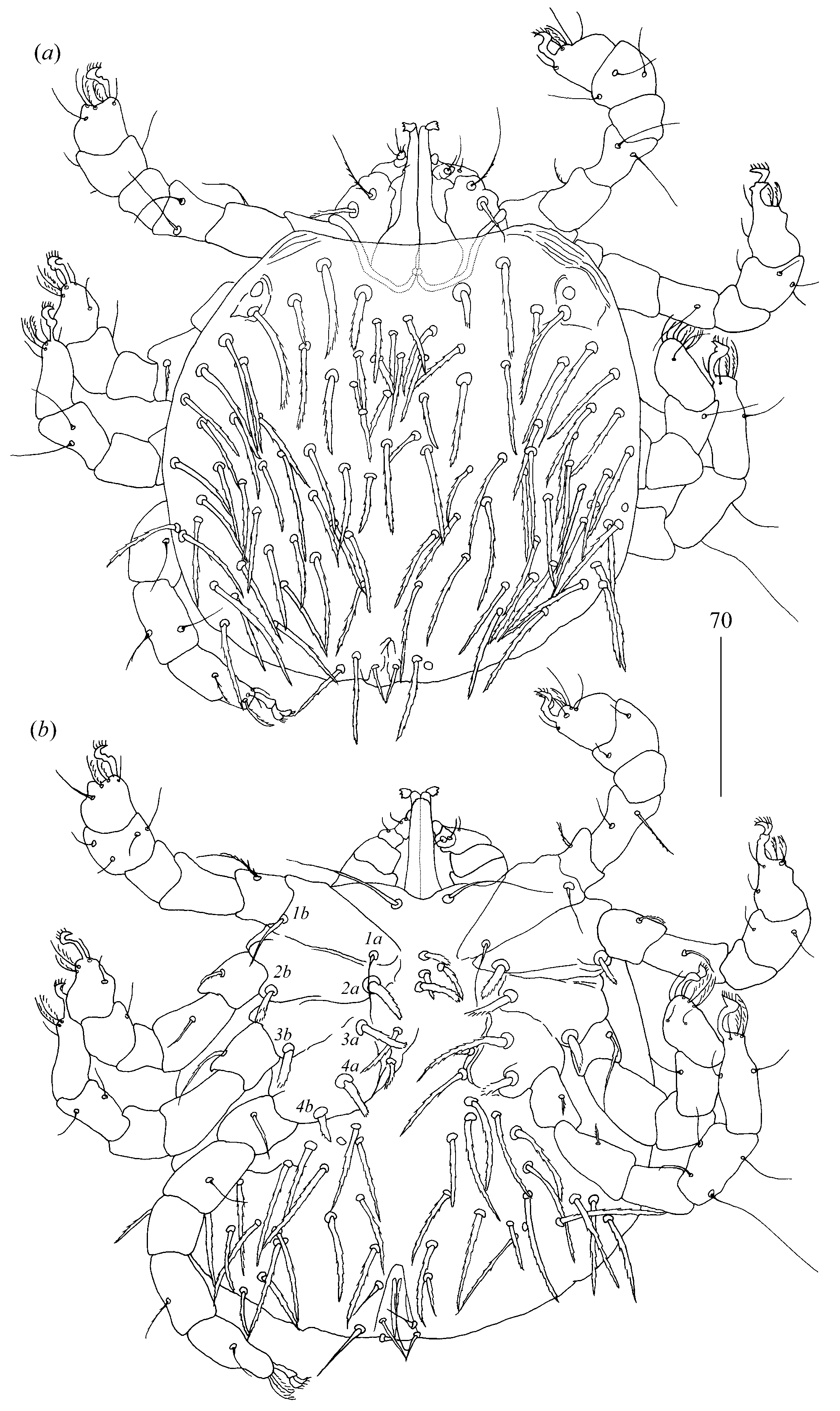 Diversity 14 01064 g010