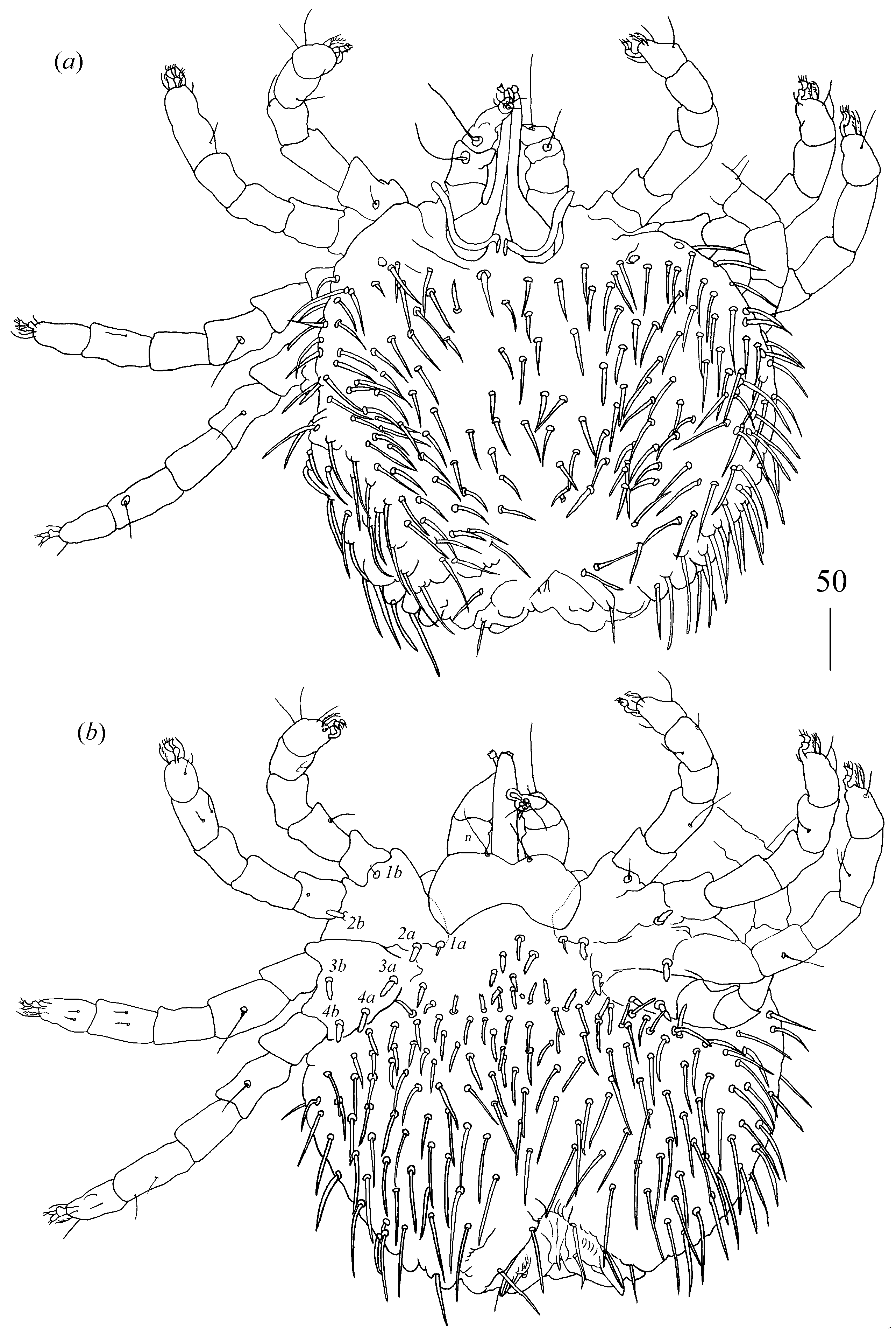 Diversity 14 01064 g012