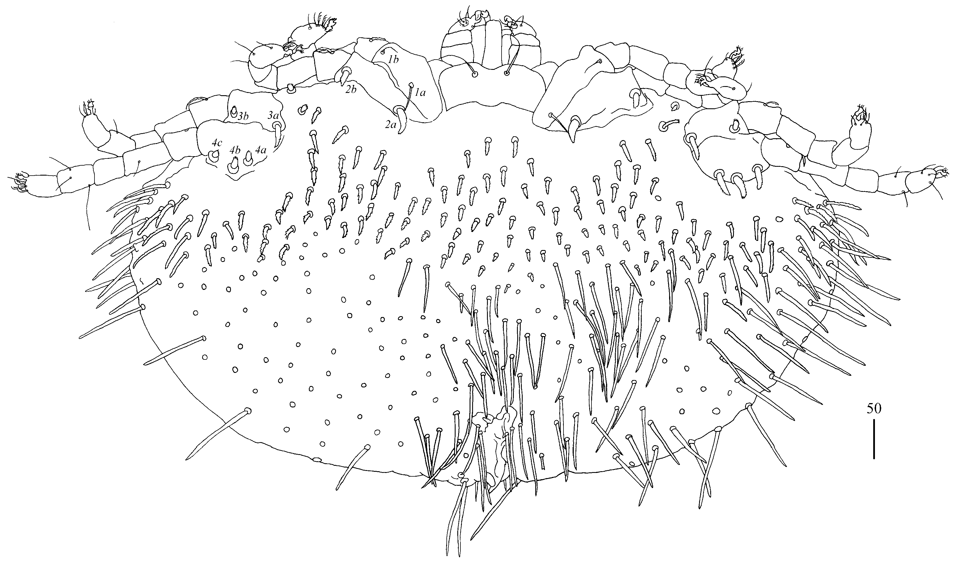 Diversity 14 01064 g015