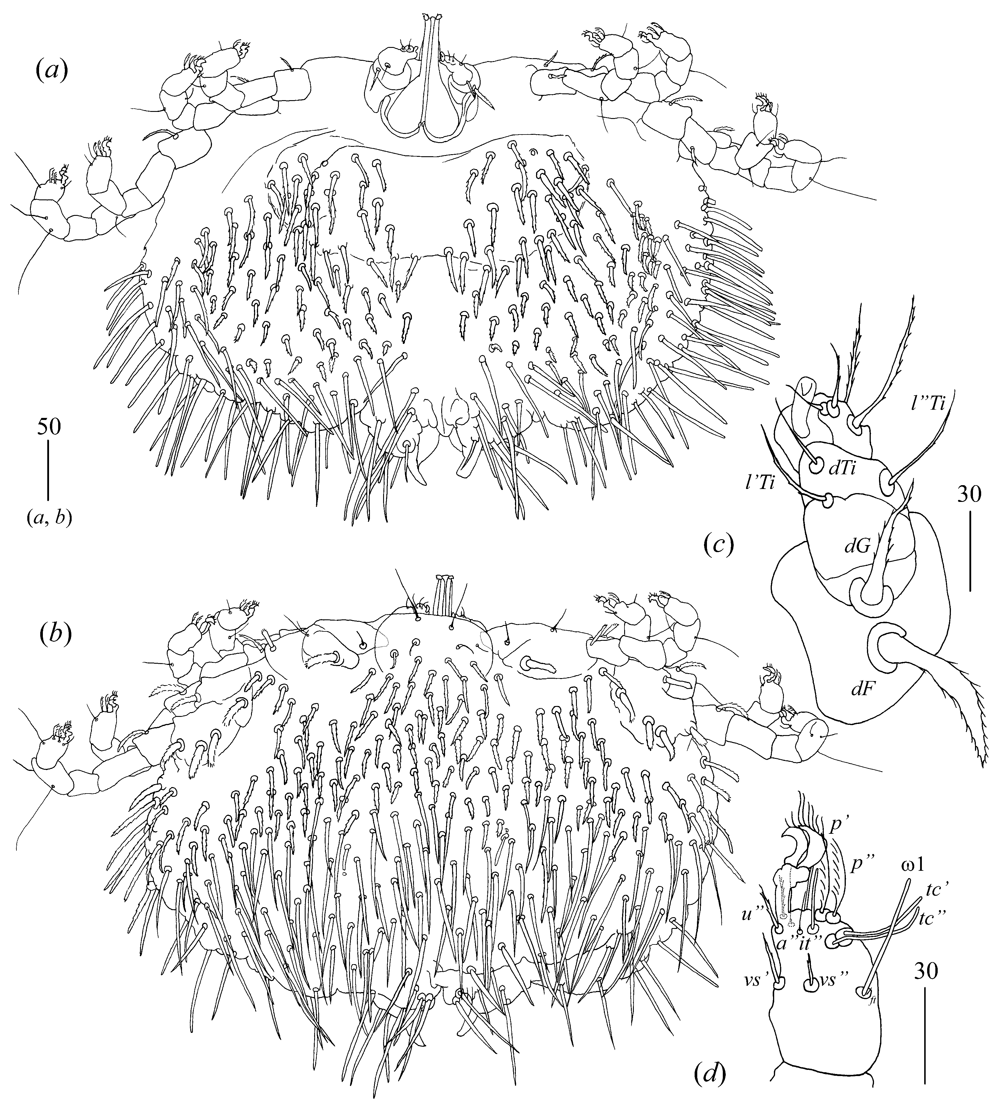 Diversity 14 01064 g016